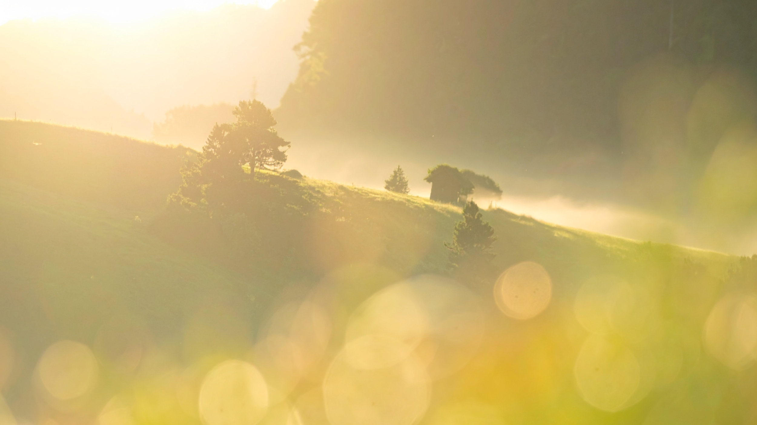 Energie schöpfen – Meditation für deine Mittagspause