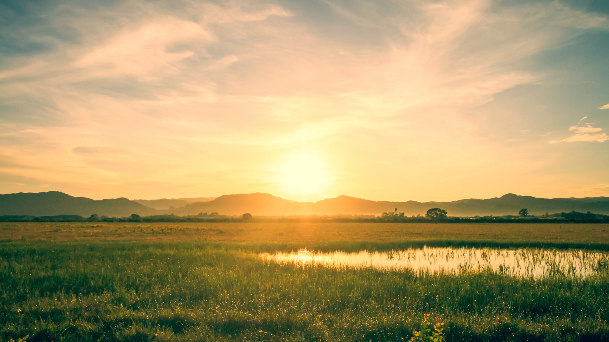 Morgenmeditation: Was möchtest du heute fühlen und empfinden?