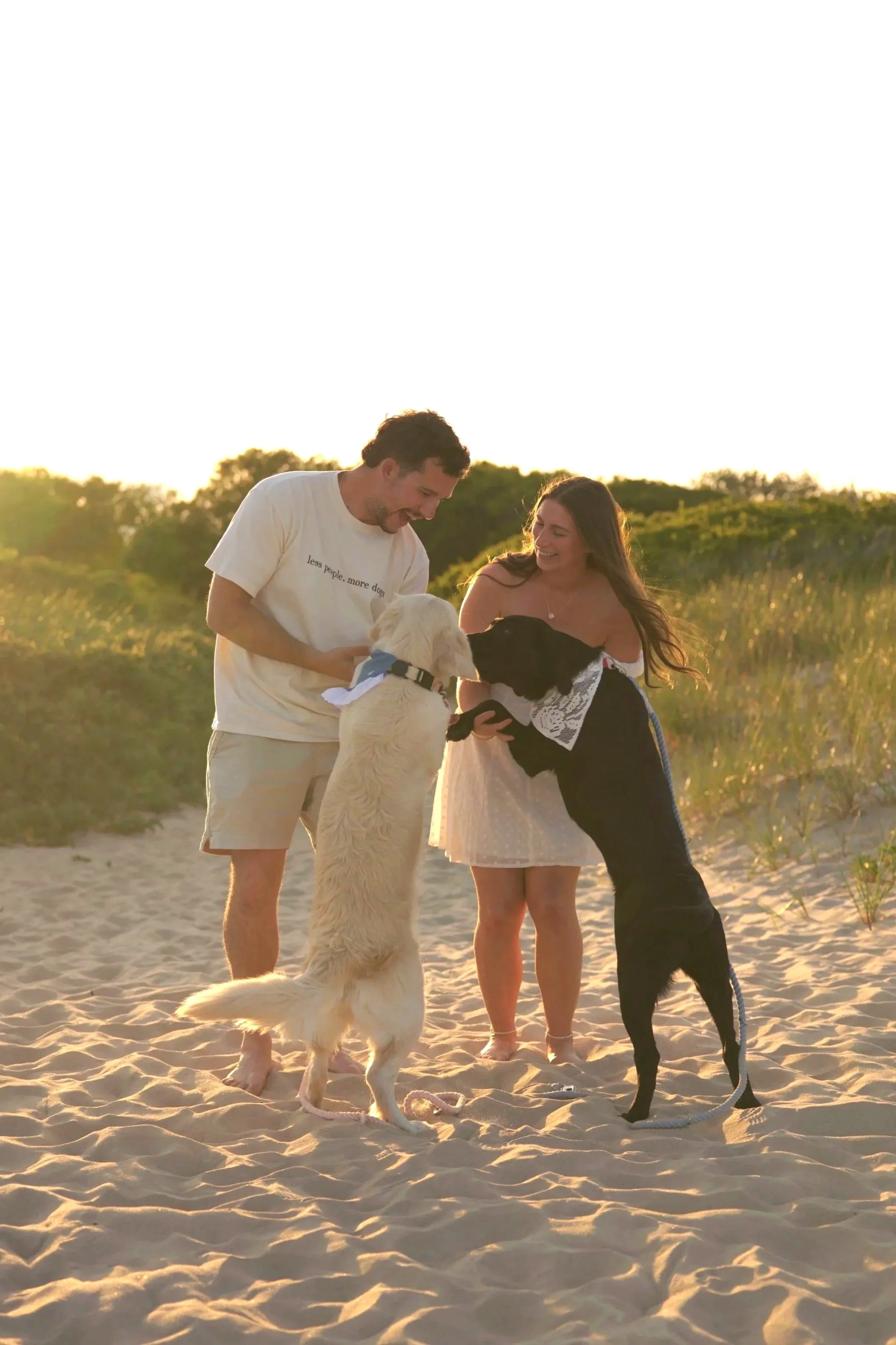 A man and woman on a beach during sunset, smiling and petting two large dogs, one white and one black, both wearing bandanas and leashes.