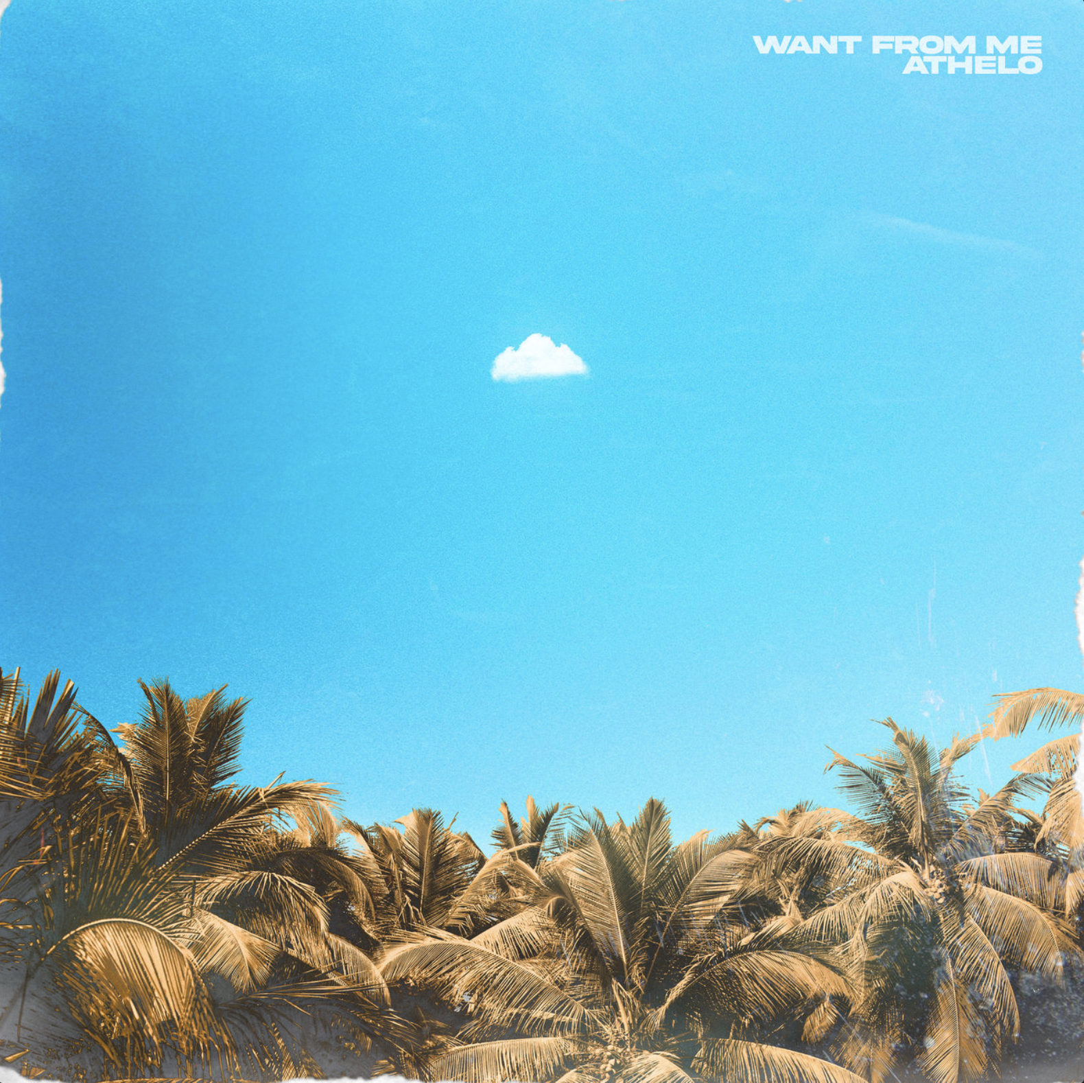 Screen Shot 2022-08-08 at 12.40.39 PM.png