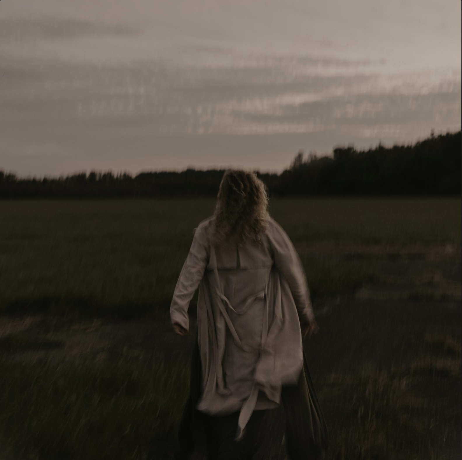 Screen Shot 2022-08-08 at 12.55.26 PM.png