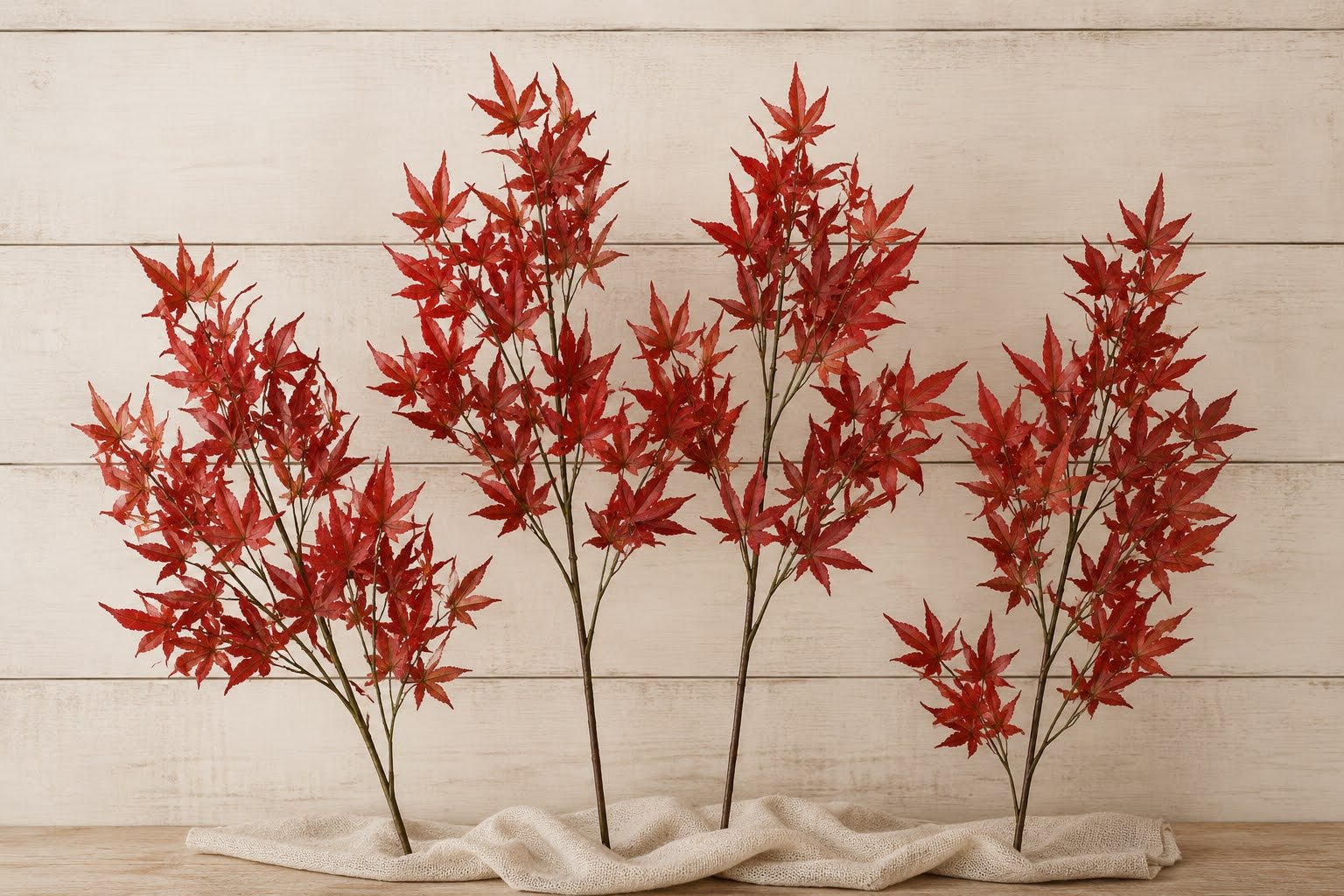 maple.png