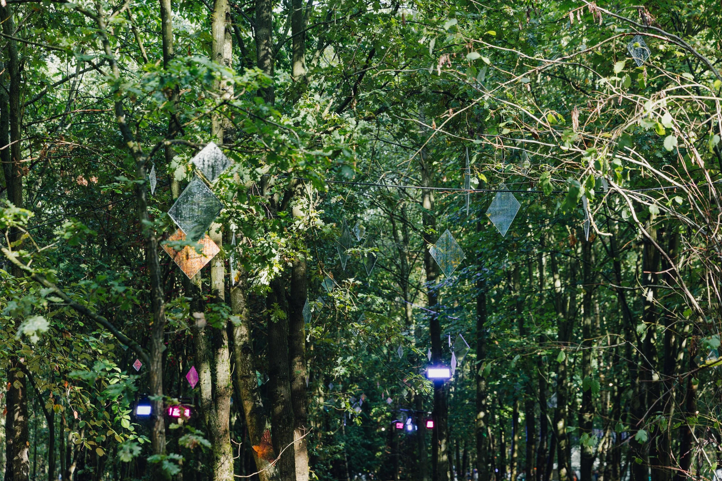 Woodland Installations