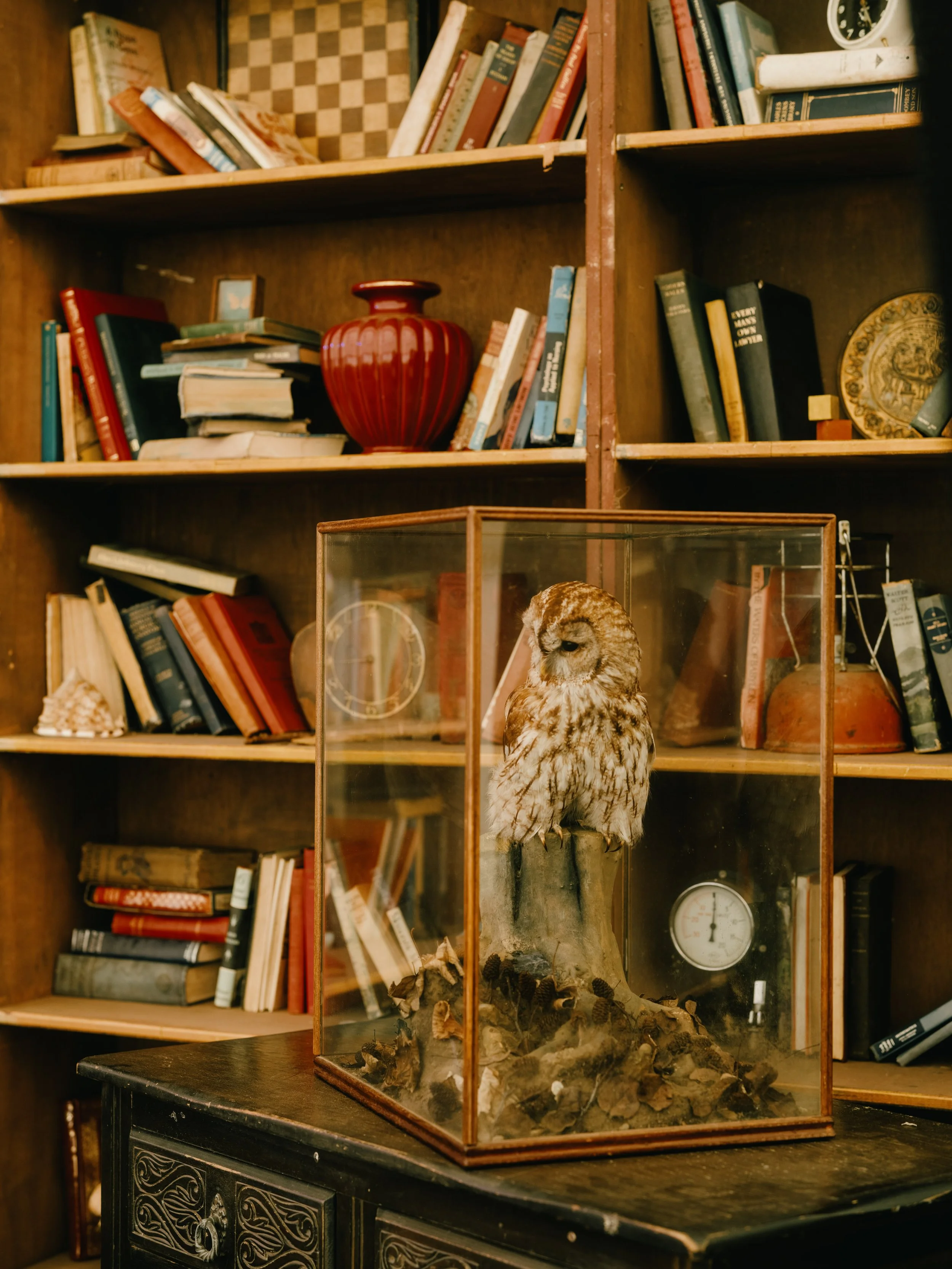 LOST_VILLAGE_2024_GILES SMITH__DSF5063.jpg