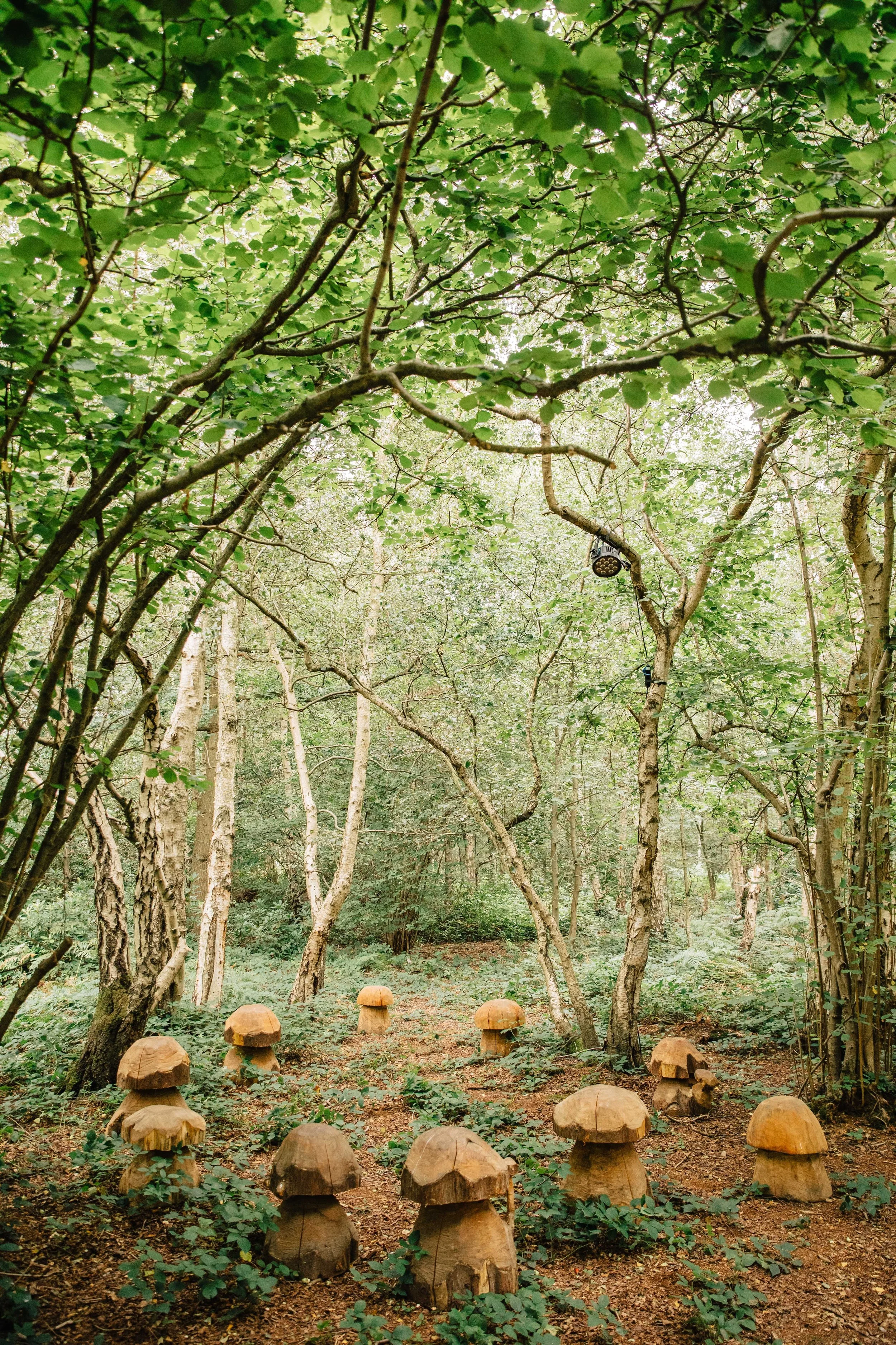 LV19 Mushroom Seats2.jpeg