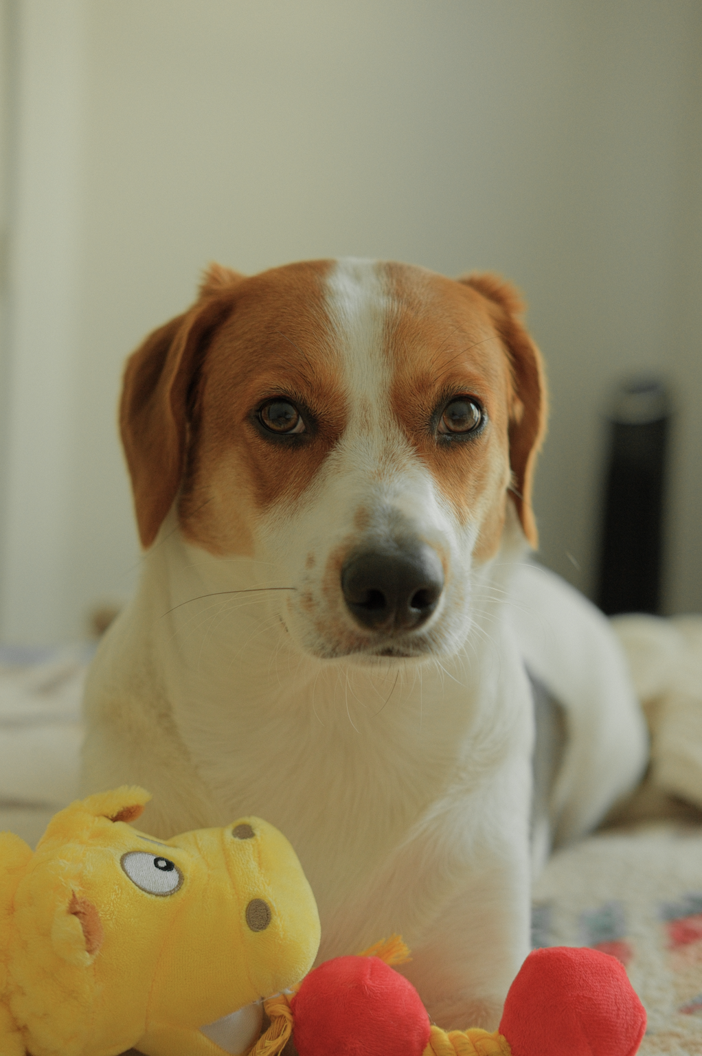 Screenshot 2023-10-15 at 9.18.51 PM.png