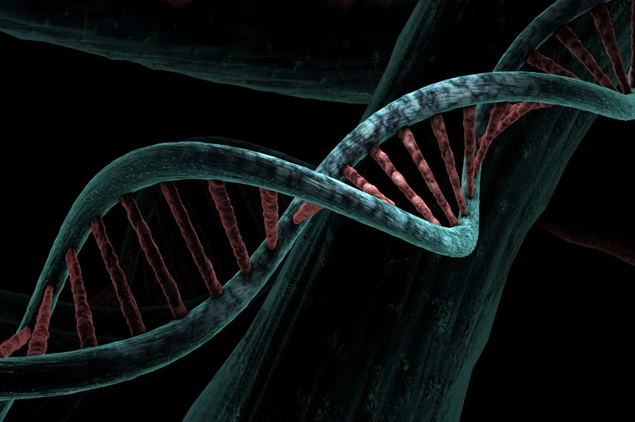 ¿Qué causa el autismo? La ciencia continúa con la detección temprana