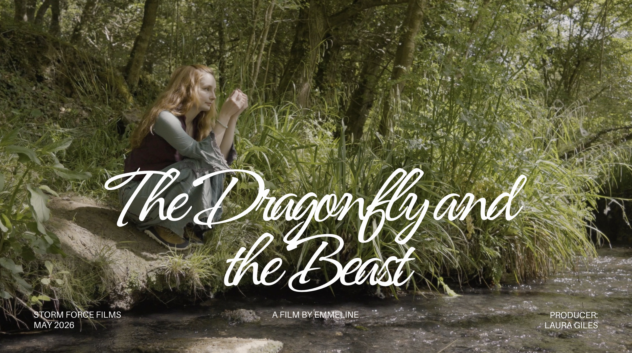 The Dragonfly and the Beast