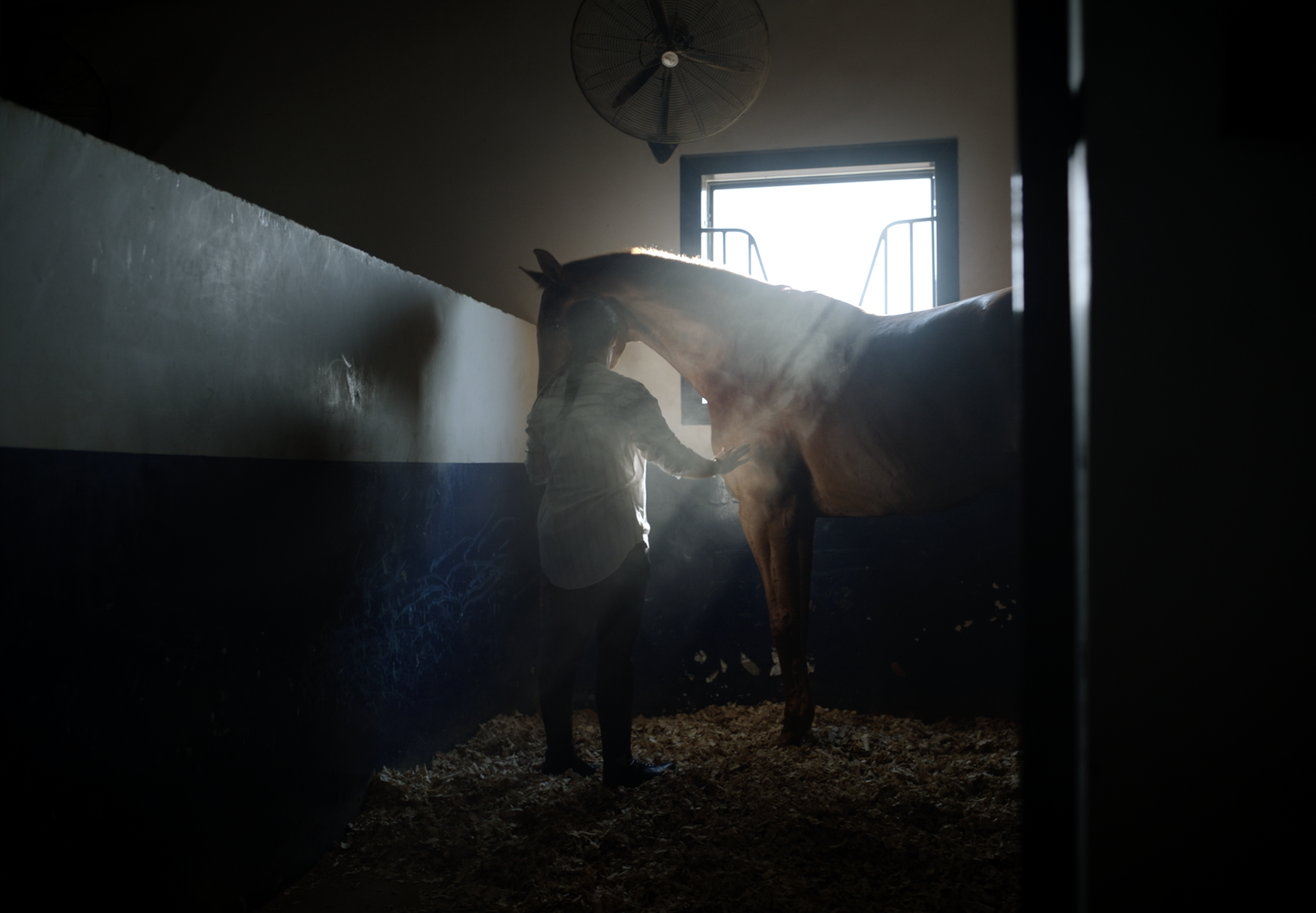 Screenshot 2026-02-18 at 12.20.29.png