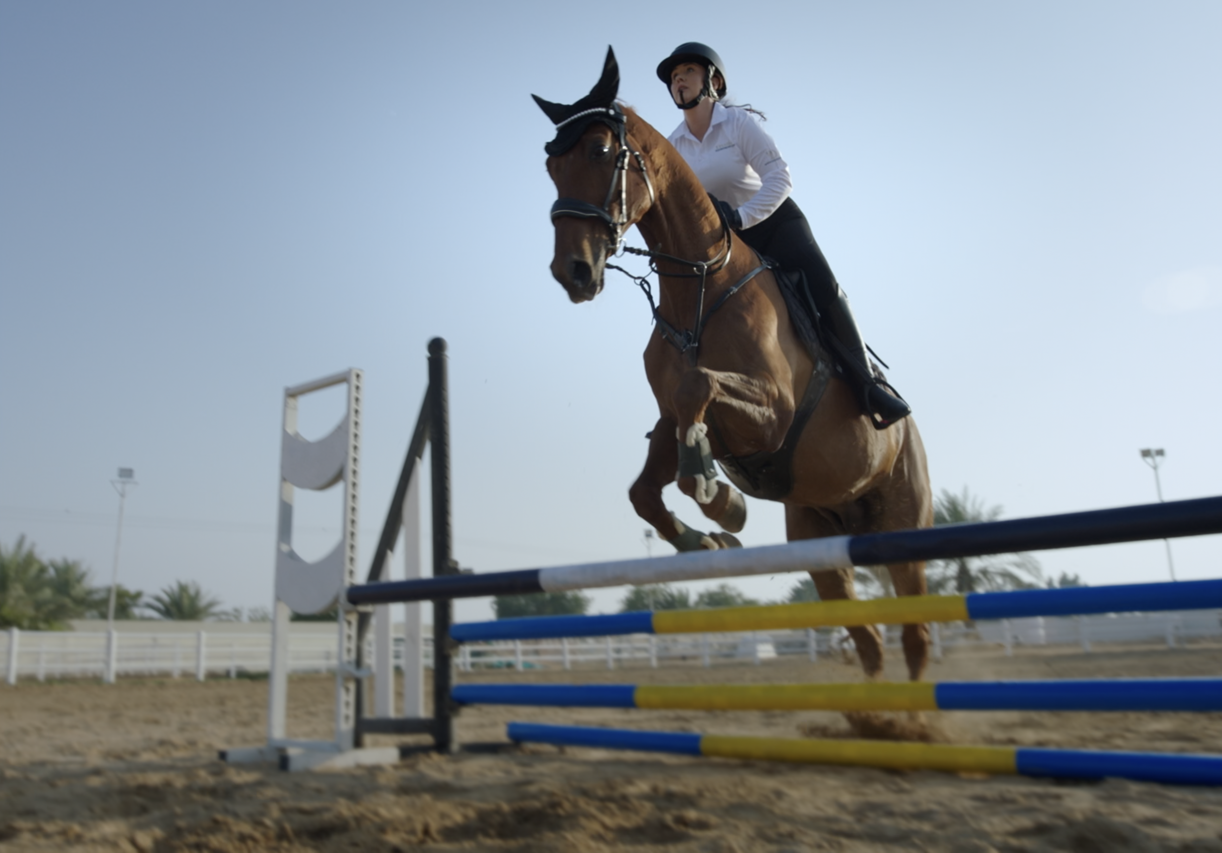 Screenshot 2026-02-18 at 12.30.26.png