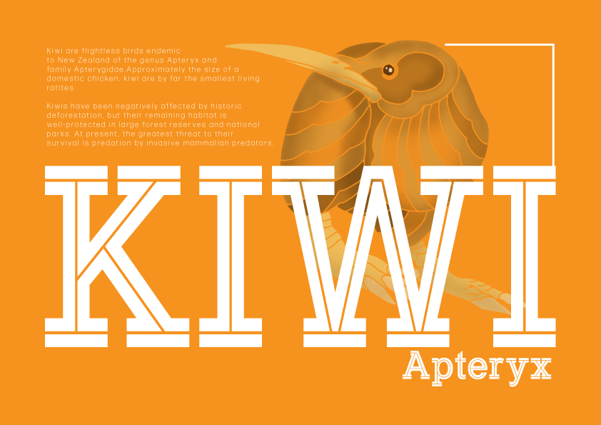 Kiwi.png