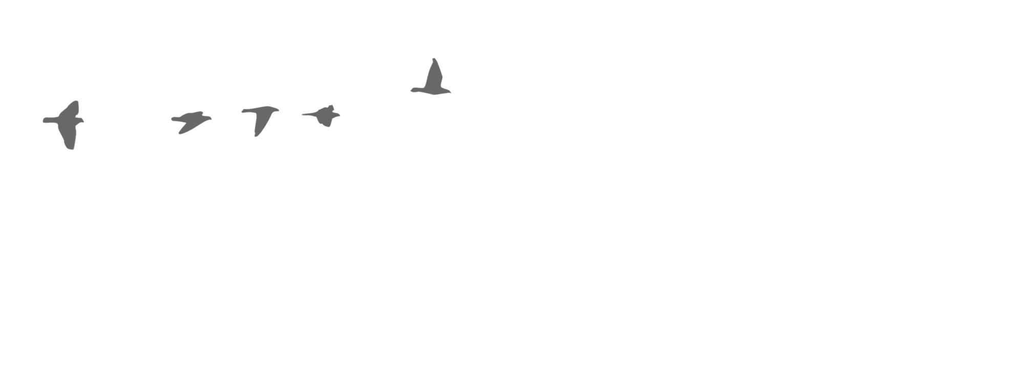 Beyond the Studio — Camera Shy Photography