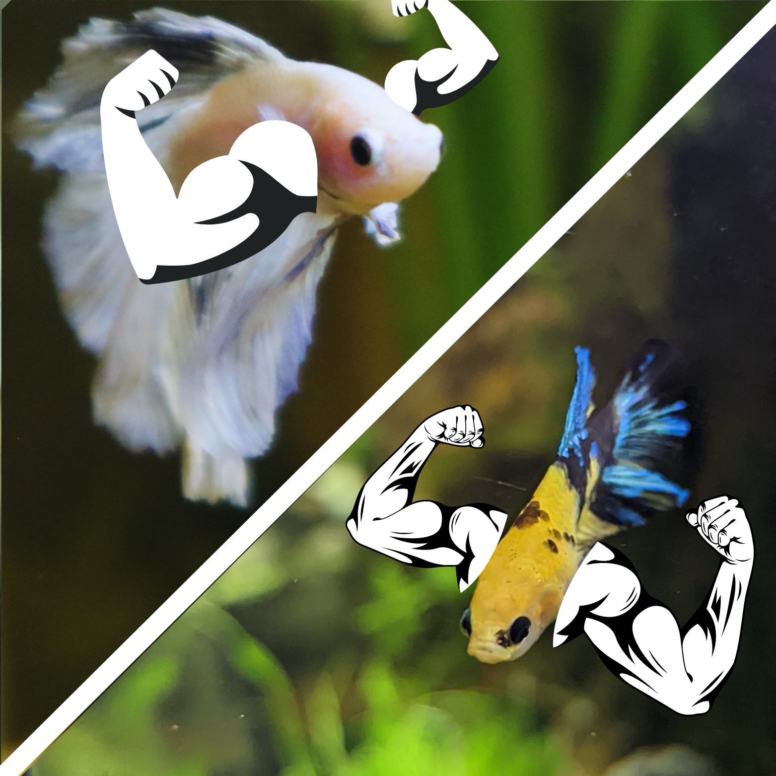 Zeus mustard flex off.png