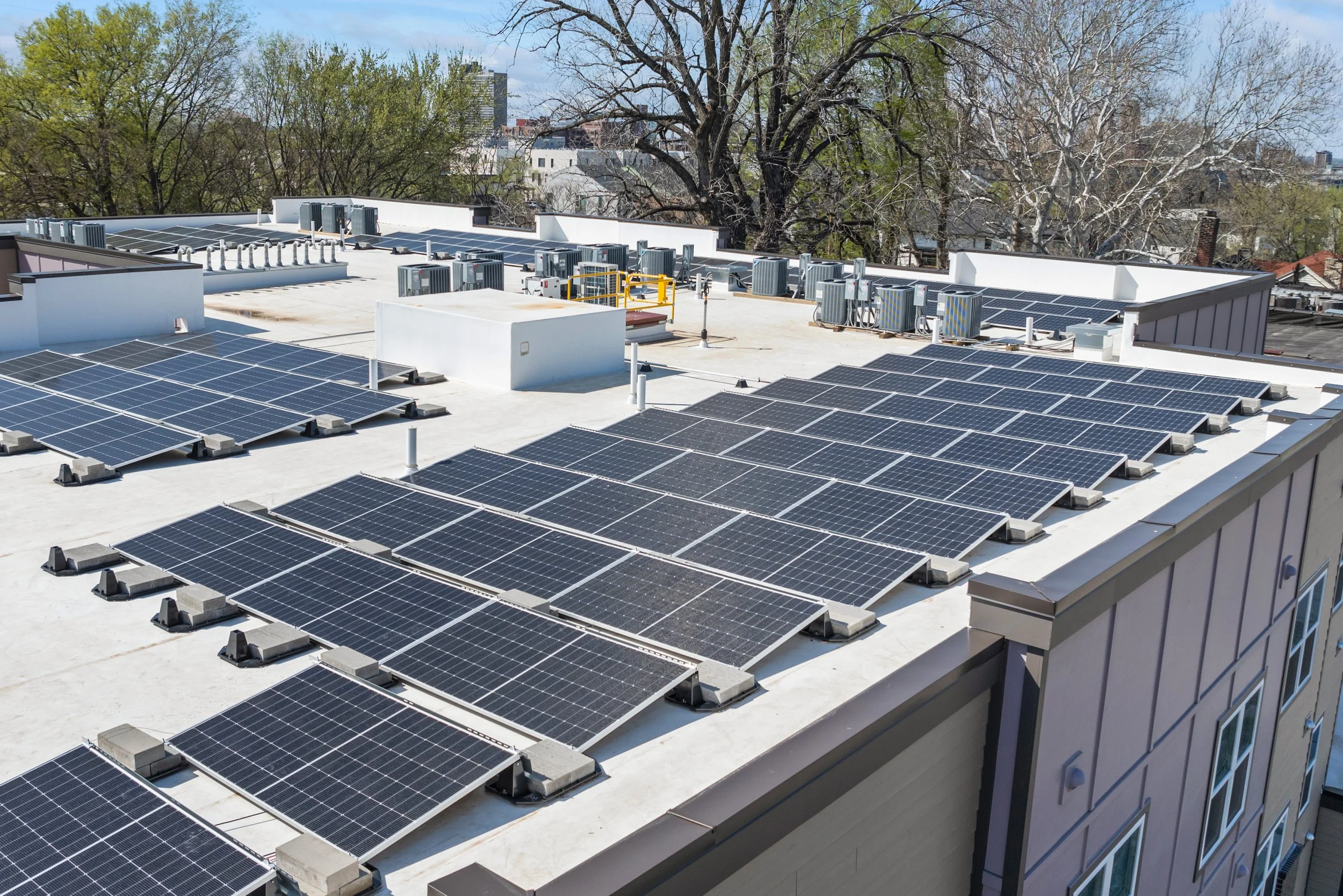 Rooftop with multiple solar panel arrays, HVAC units, and vents, surrounded by trees with some leaves and a city skyline in the background.