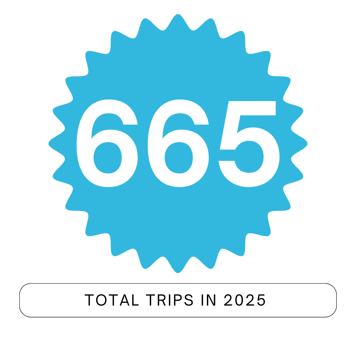 Blue Badge highlighting 665 Total Trips in 2025