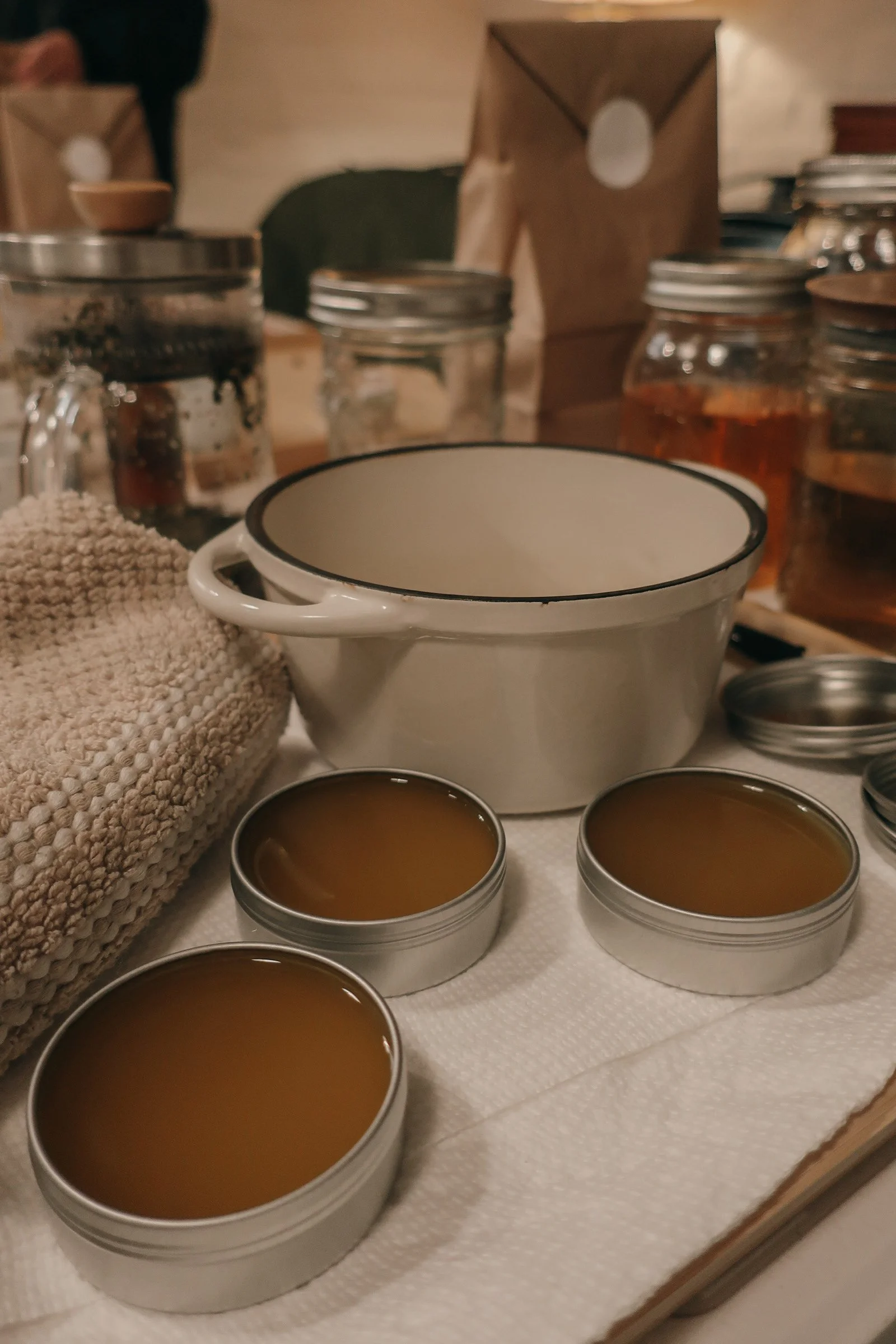 Salve Making with Desert Plants, 12.9.23