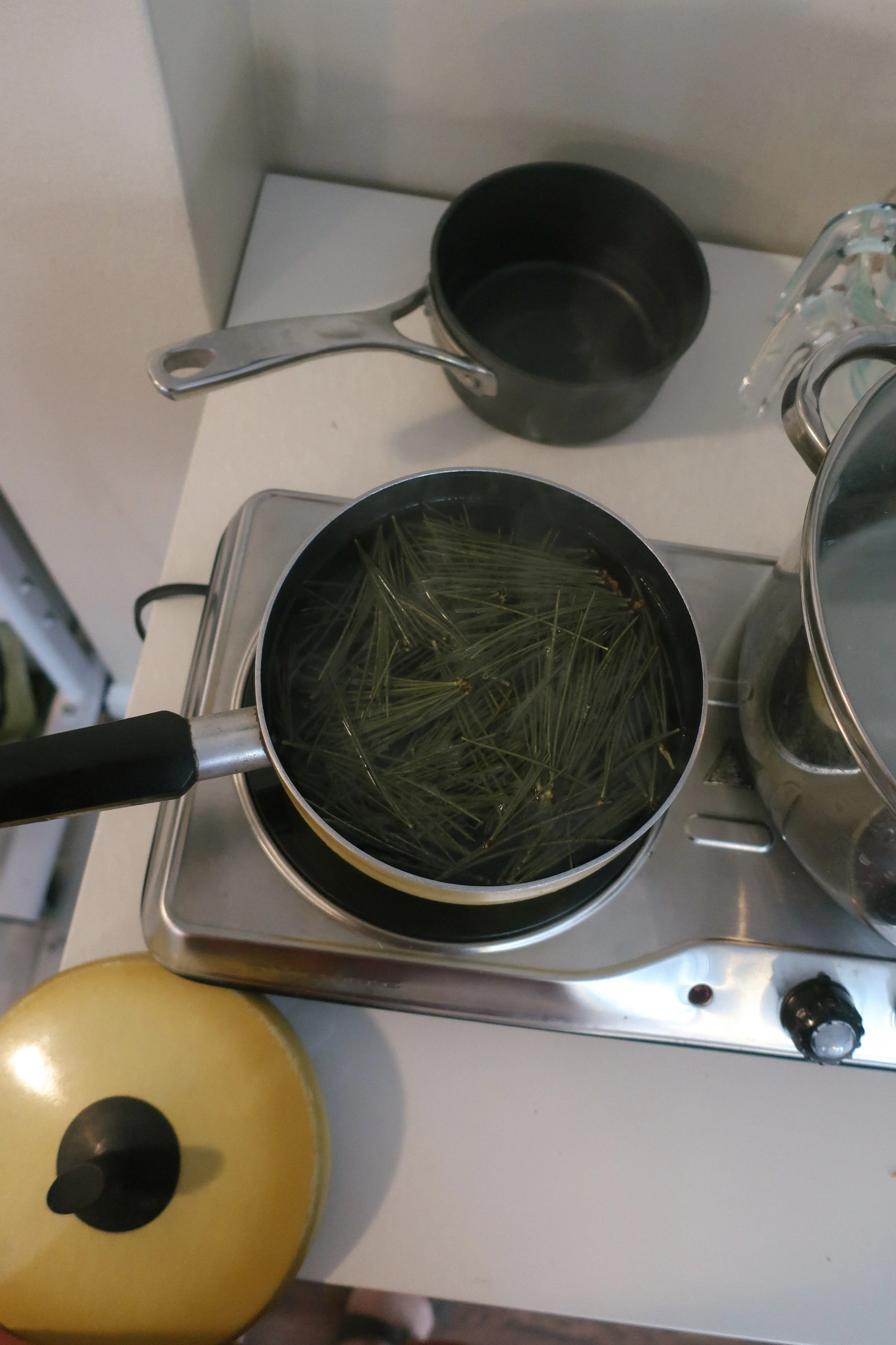 Trees + Resins Workshop, 1.31.23