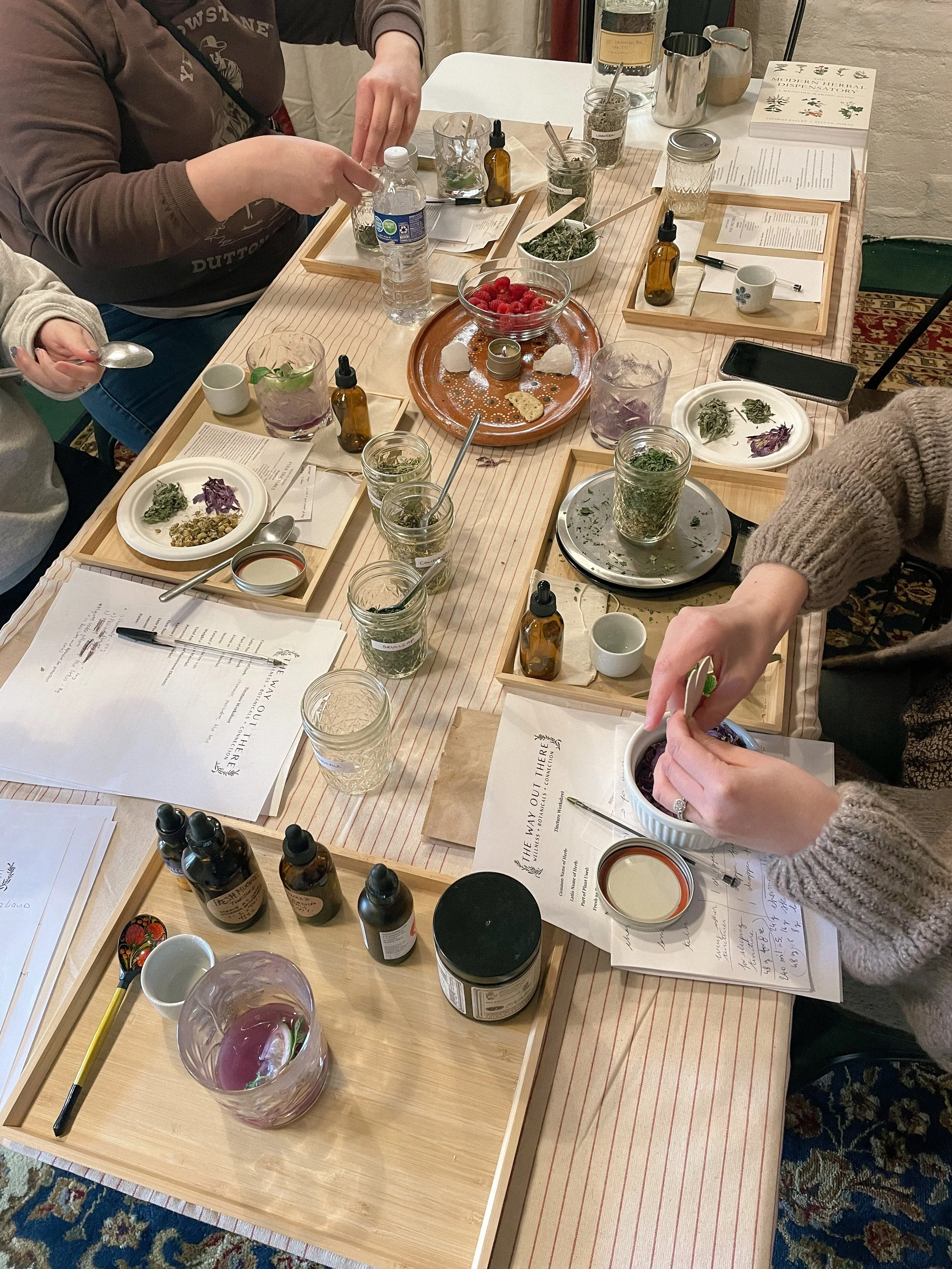 Tincturing for Sleep + Dreaming, 1.14.24