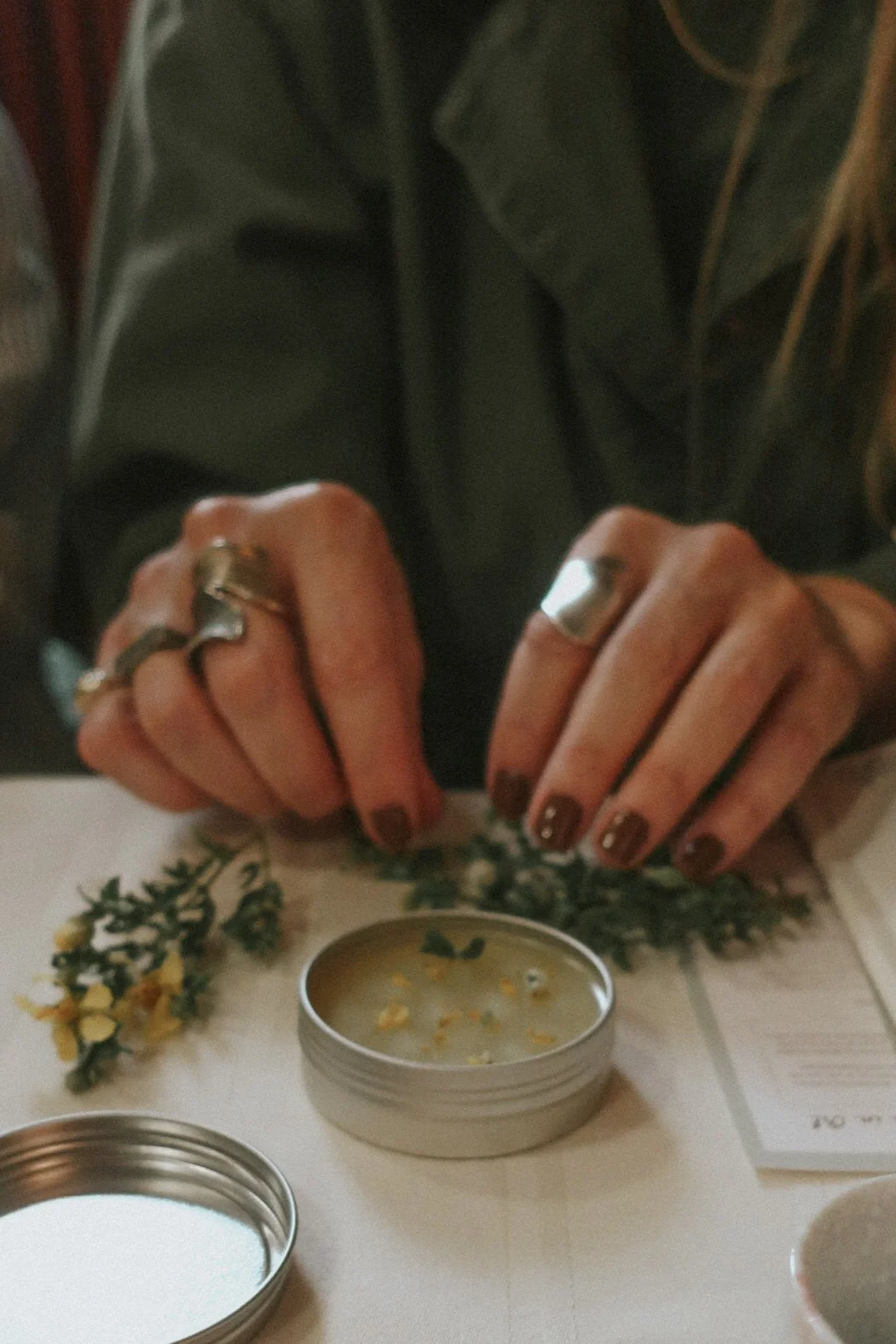 Salve Making with Desert Plants, 2.8.26