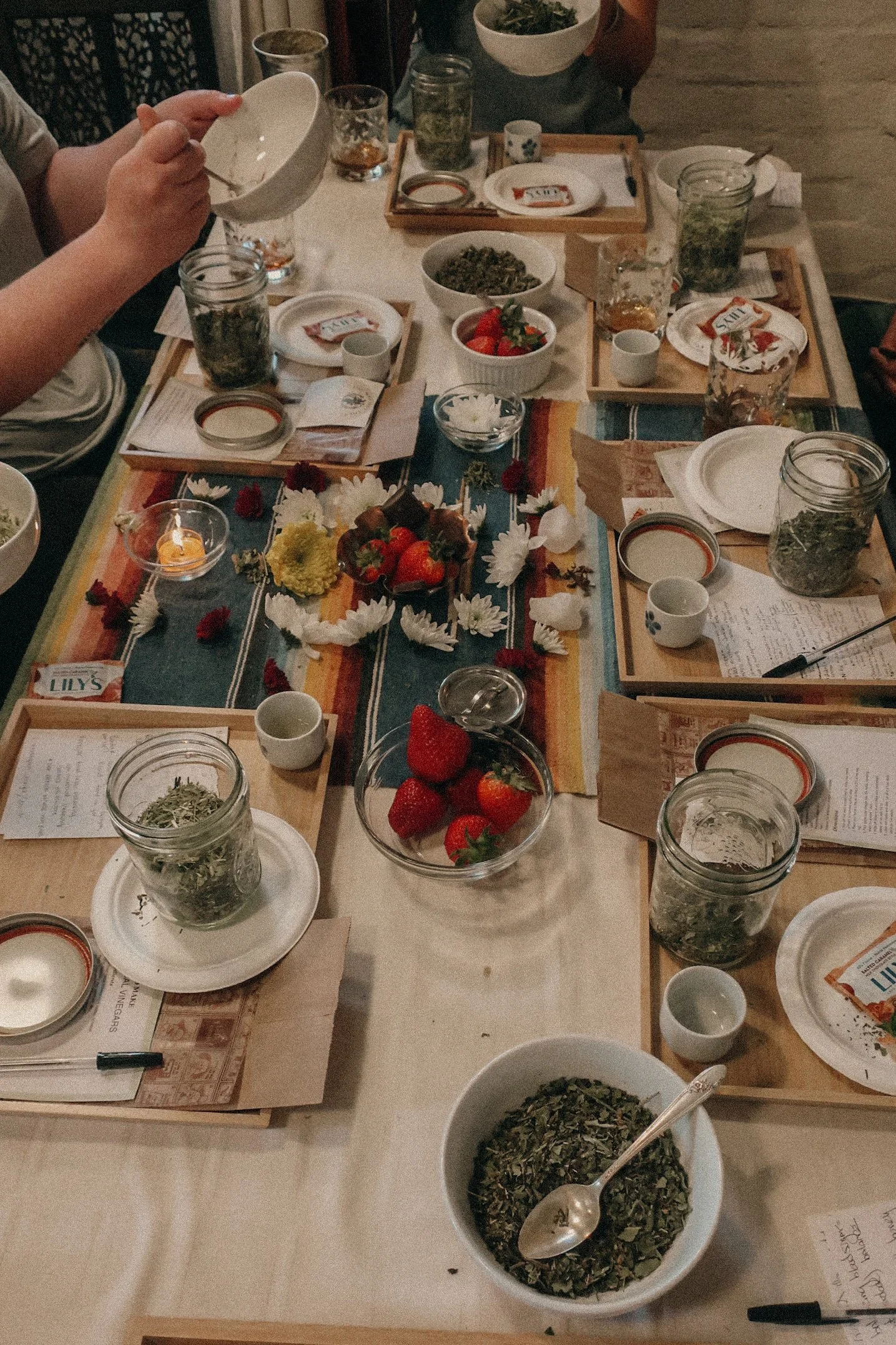 Spring Medicine-Making Circle, Herbal Vinegars, 5.12.24