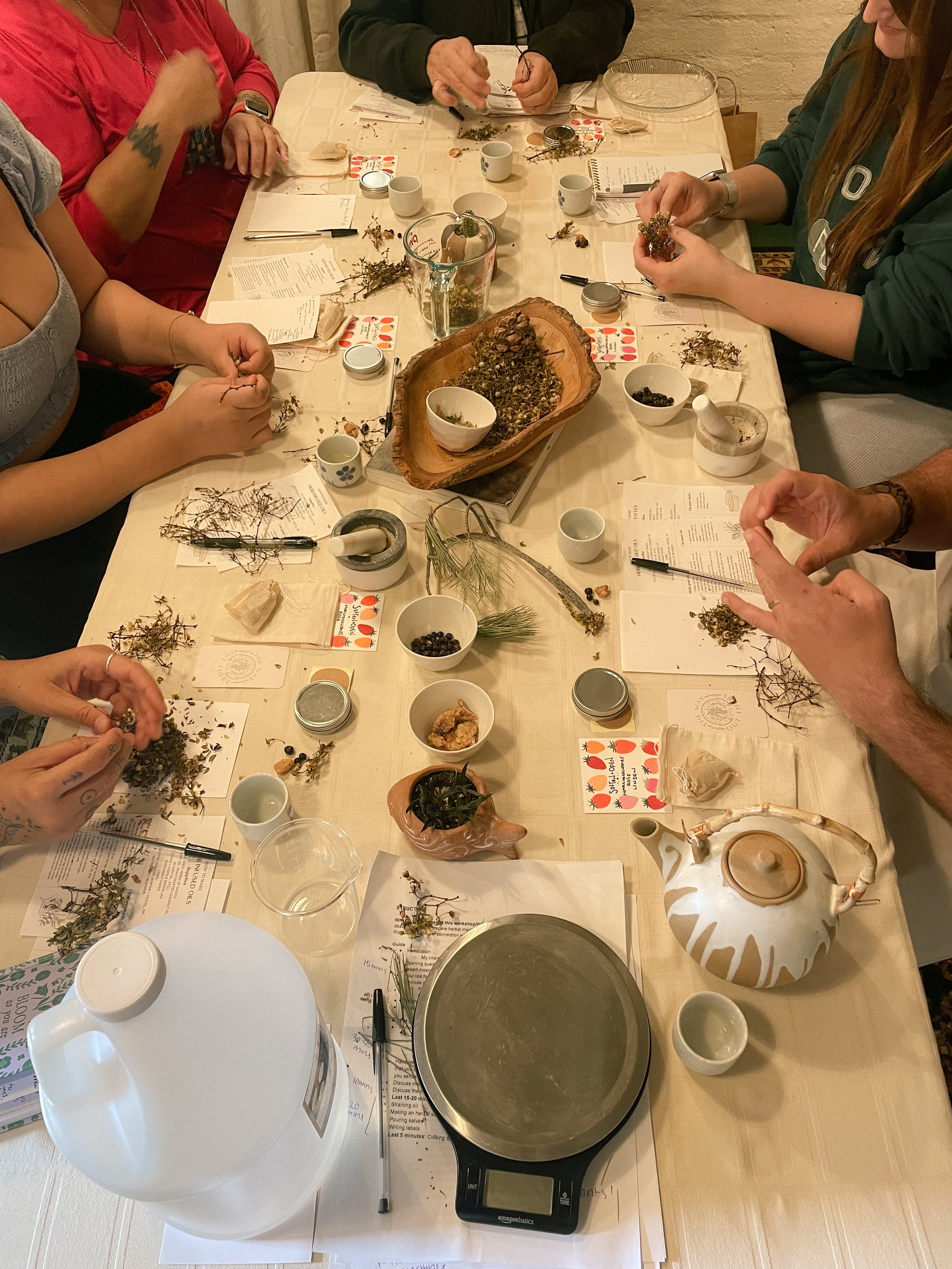 Salve Making with Desert Plants, 11.18.23