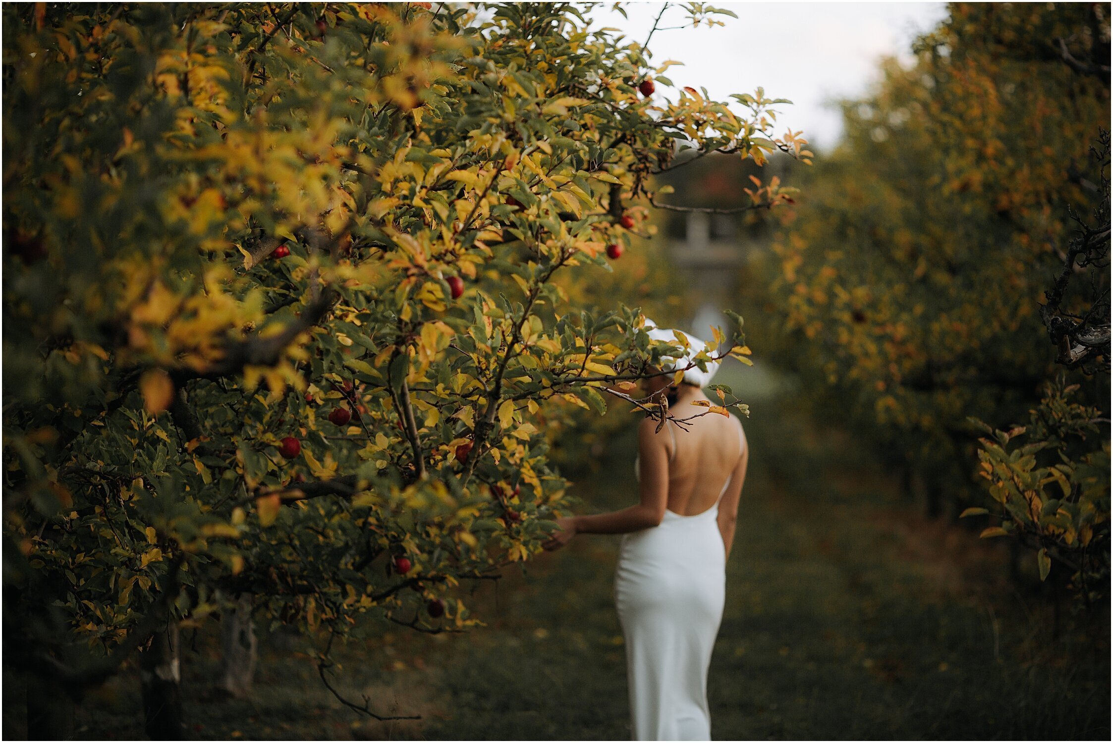Zanda+Auckland+wedding+photographer+unique+portrait+photoshoot+ideas+autumn+winter+Windmill+apple+orchard+Coatesville+New+Zealand_25.jpeg