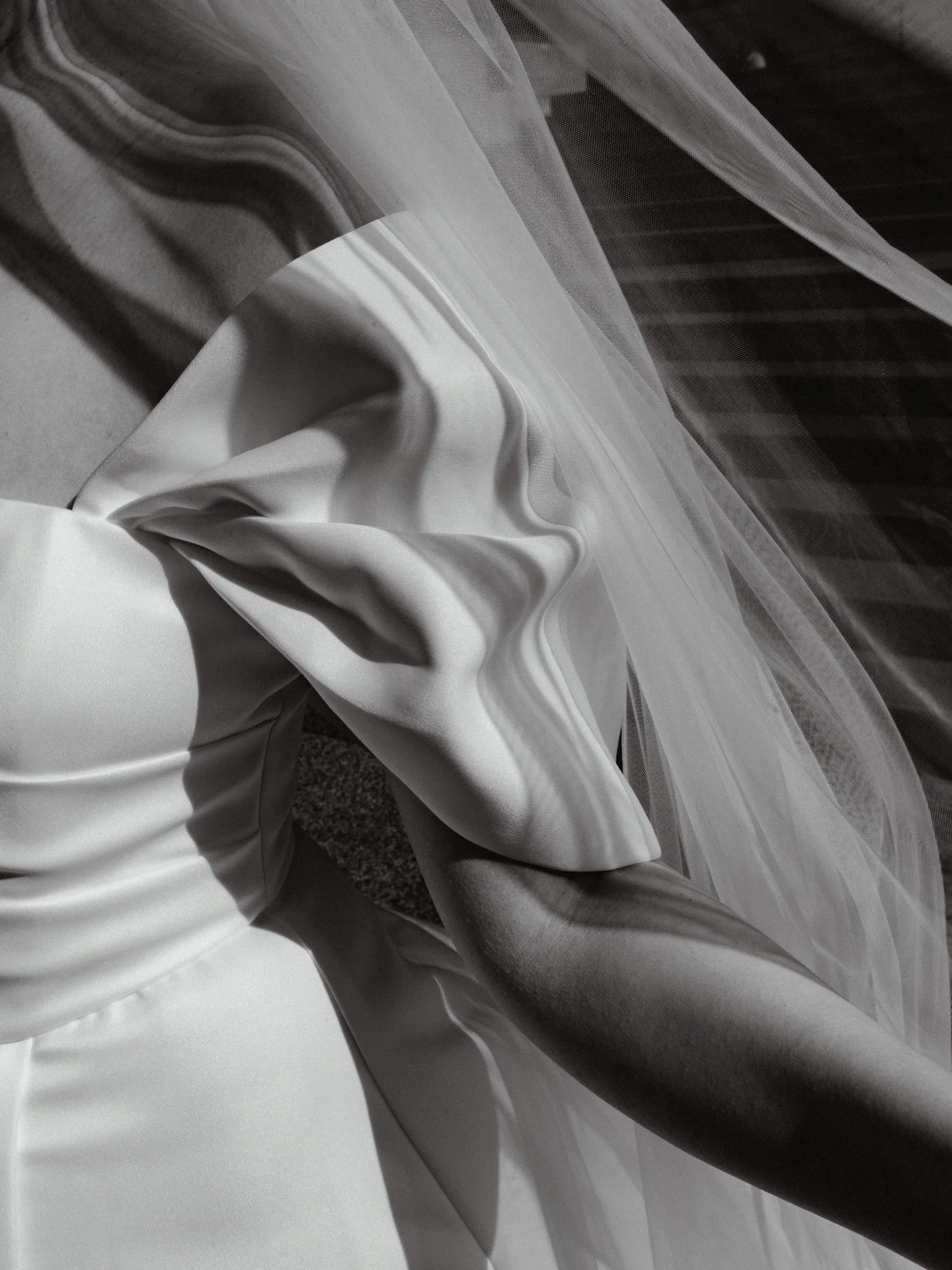 Dahi + Austin

@domainwintergardens @aucklandmuseum 

#engaged💍 #aucklandweddingphotographer #aucklanddomain #aucklandmuseum