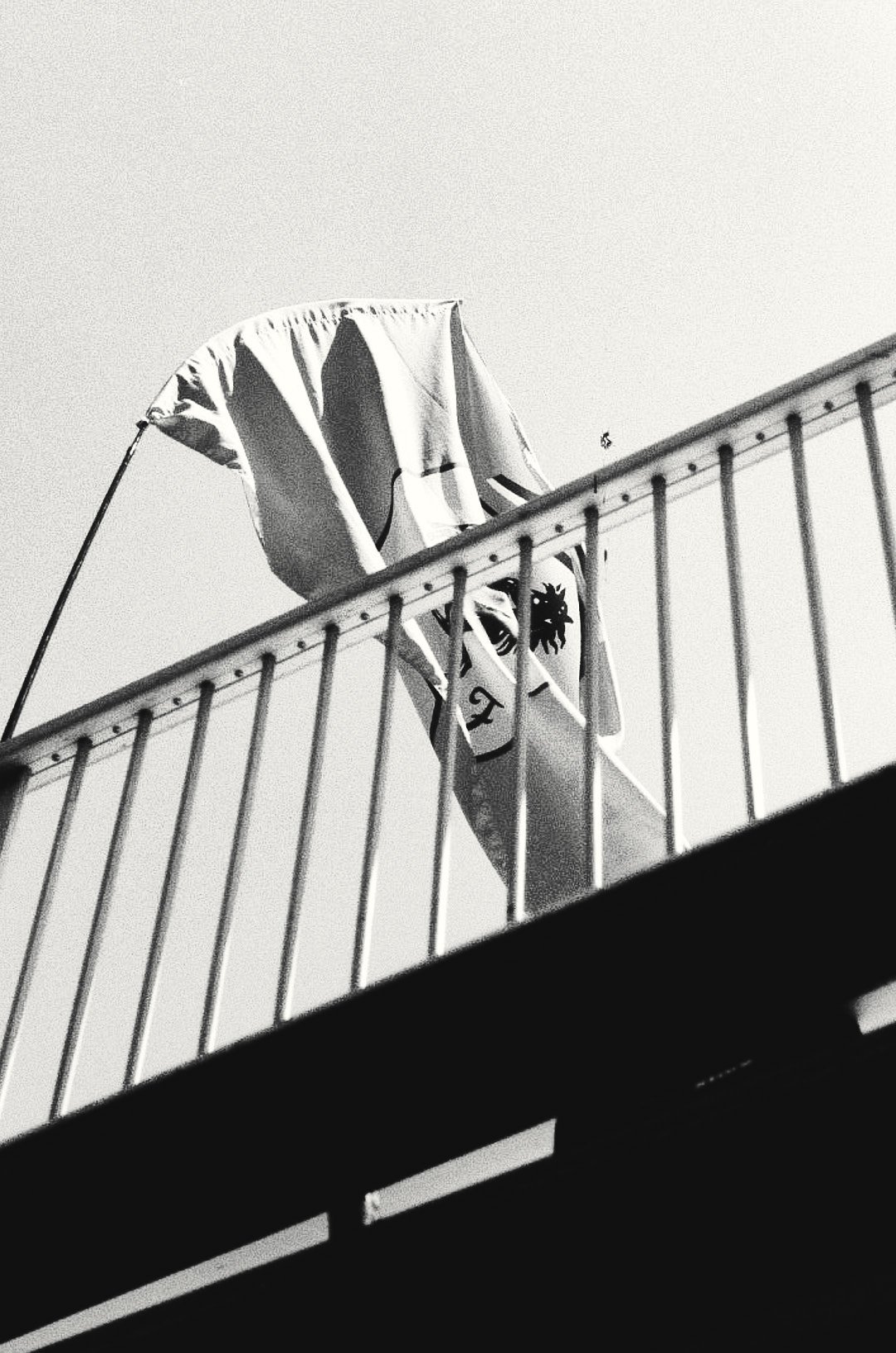 8526-03.jpg
