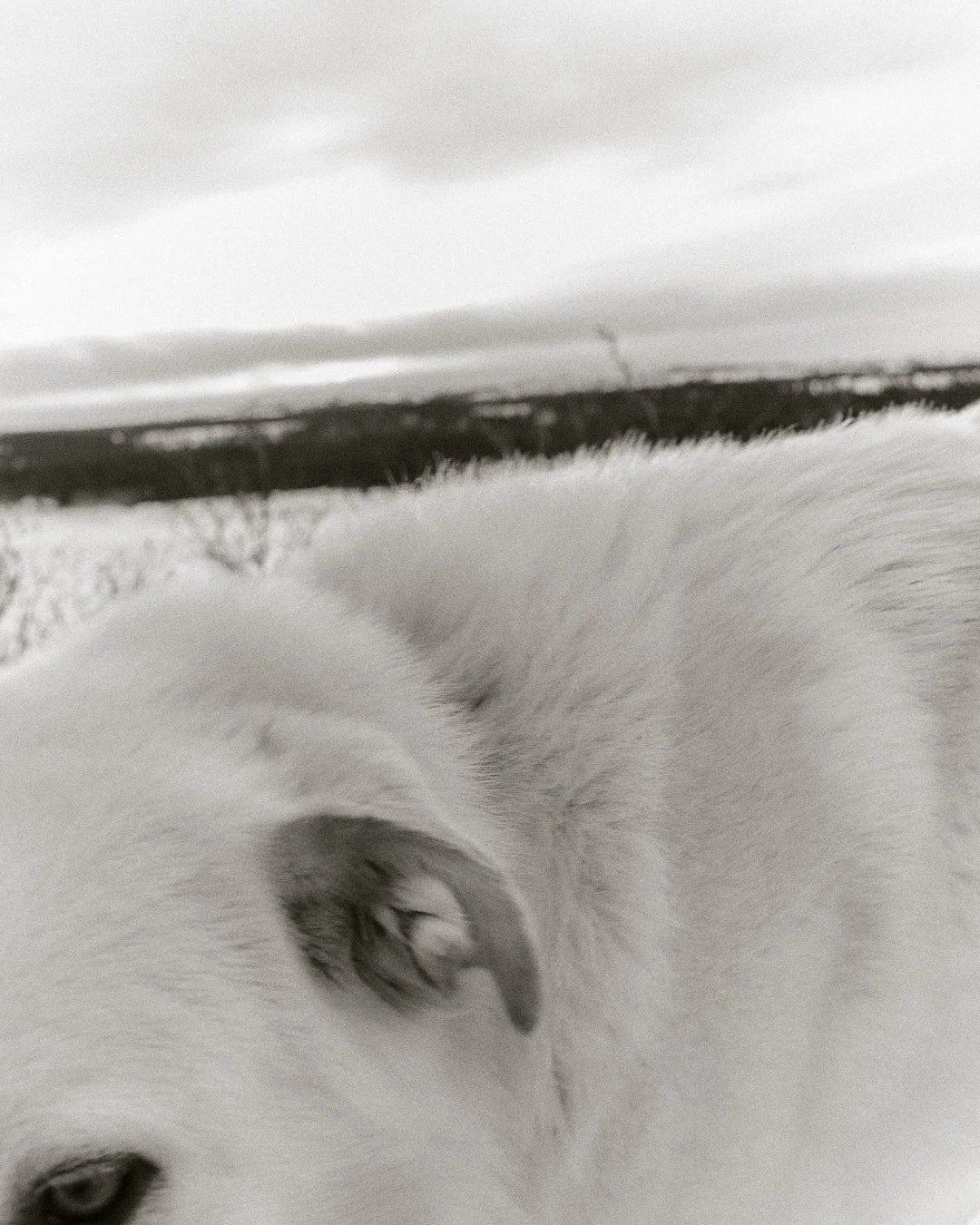 _CA_0536.jpg