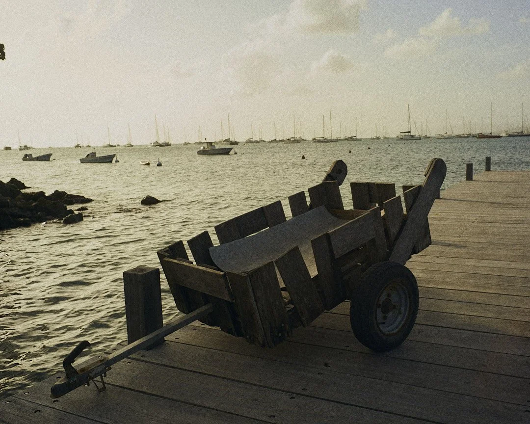L1008426.jpg