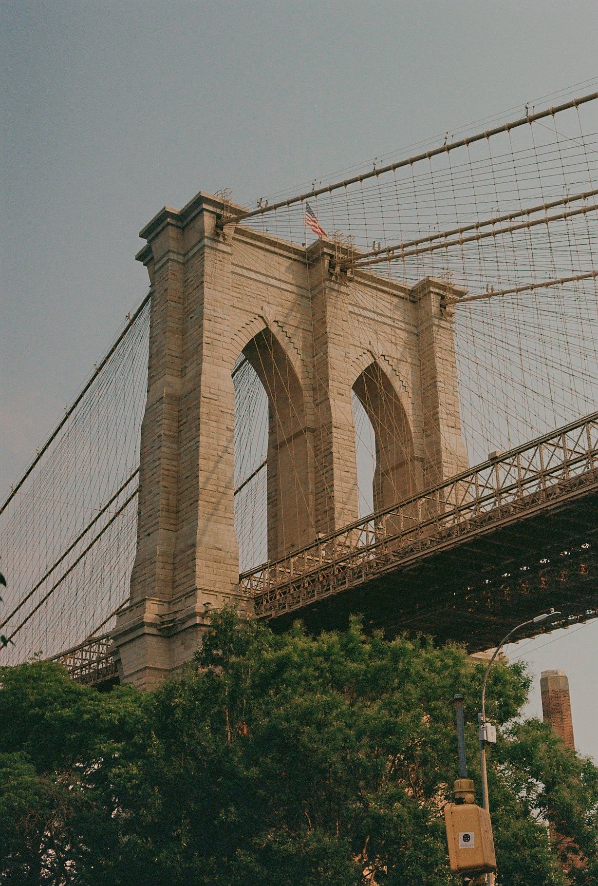 New Yorker S25