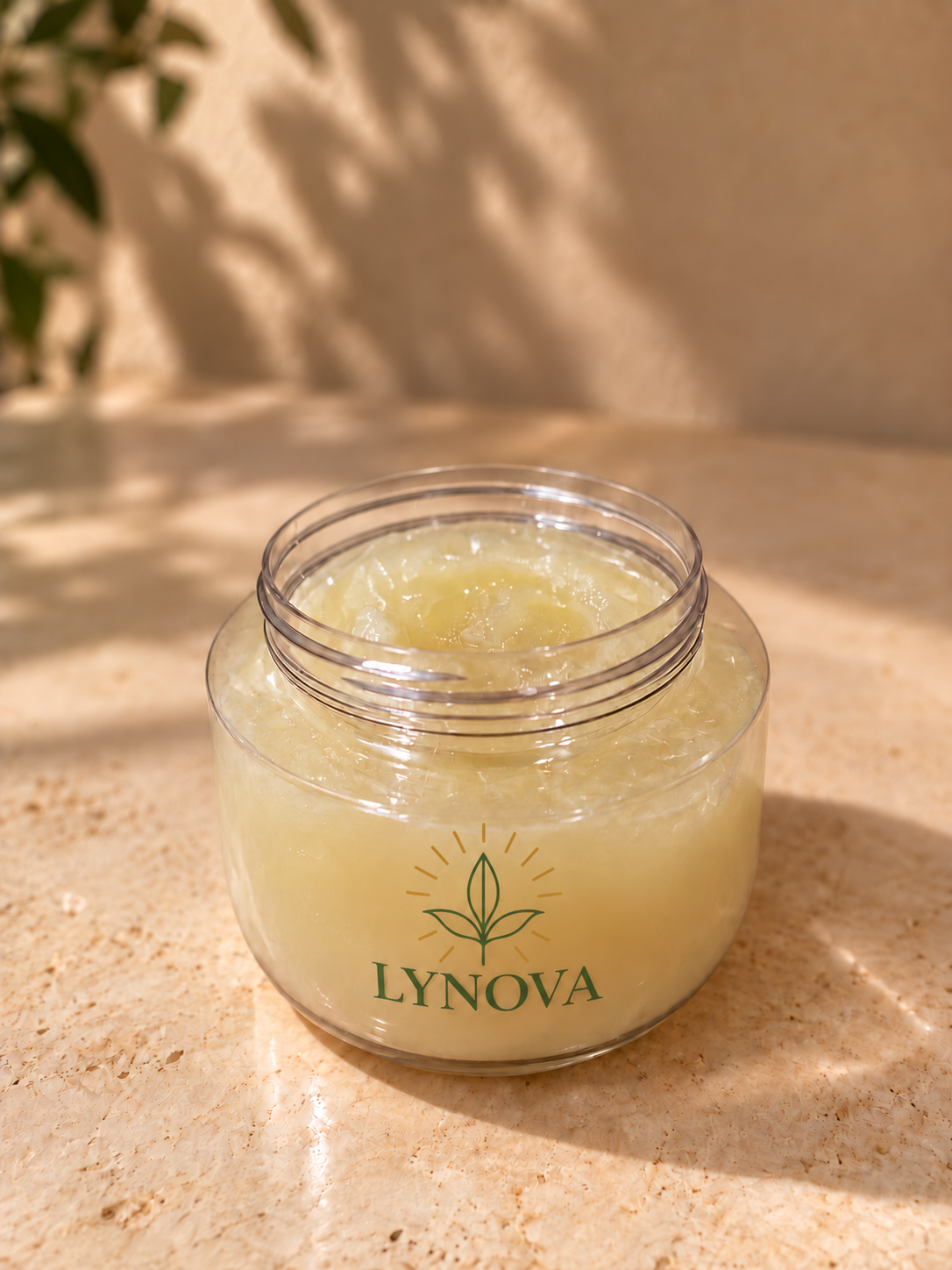LyNova jar with official OPEN LID TEXTURE.png