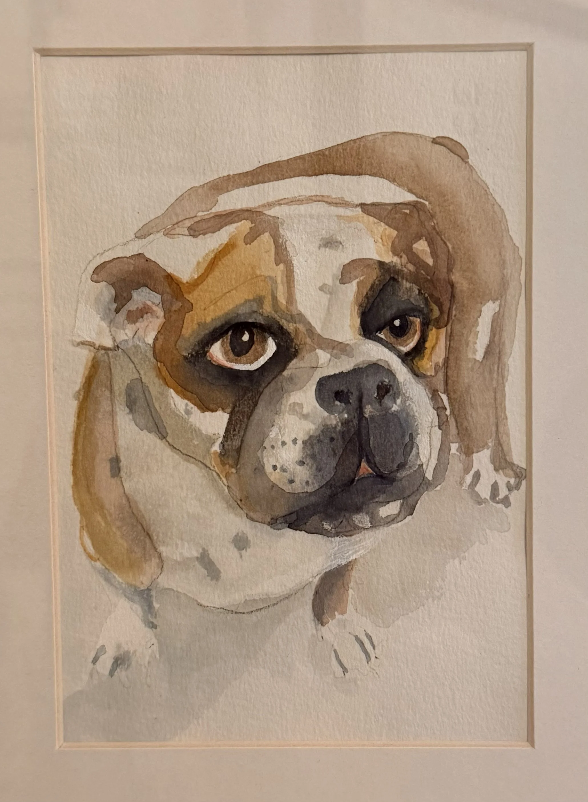 Cooper, 2018, Watercolor