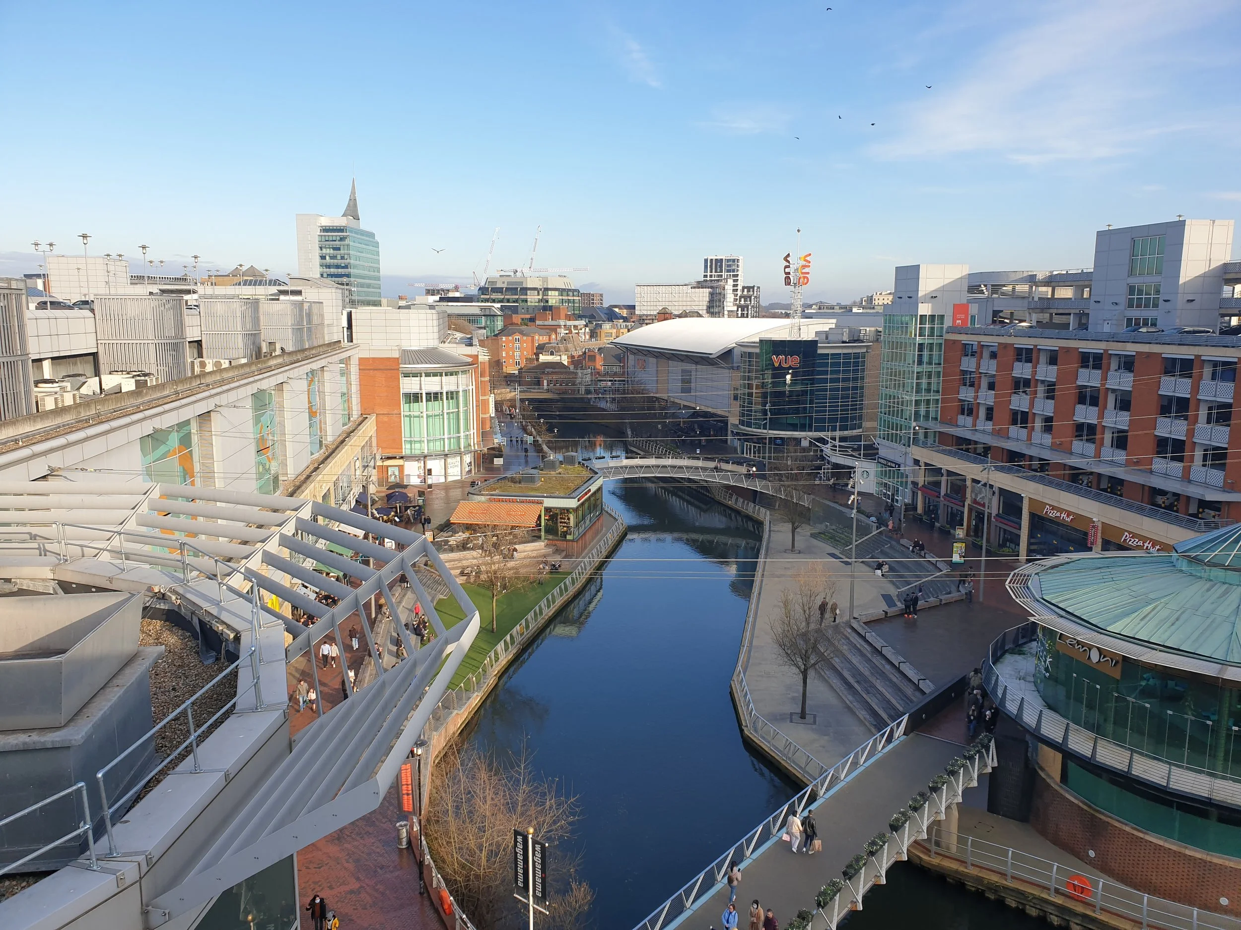 Developing the Next Generation of Landscaping Managers in Reading