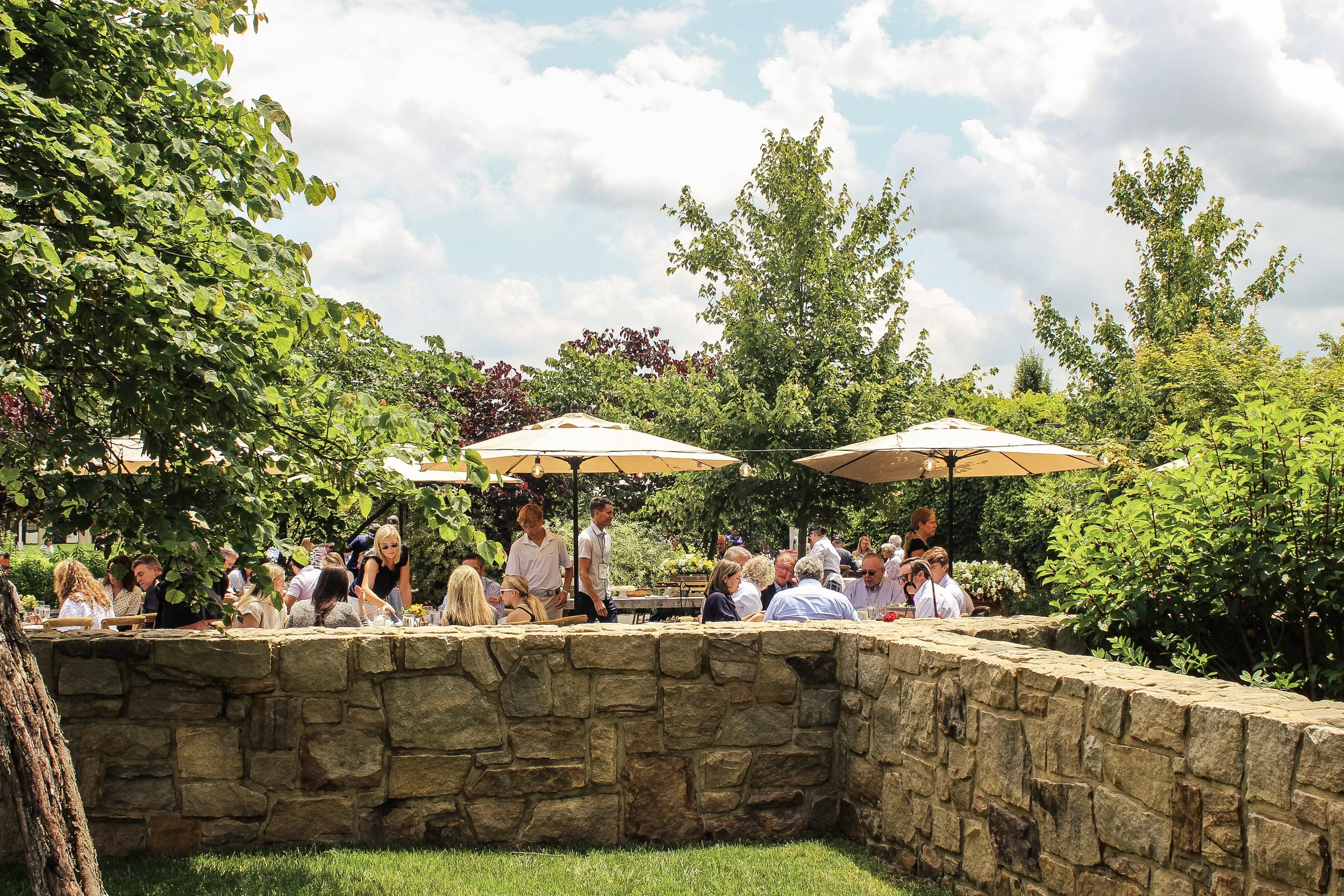 culinary garden.jpg