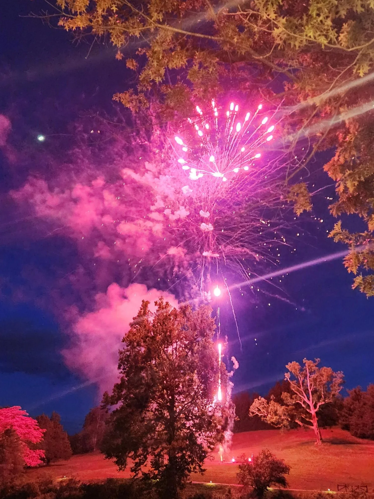 Fireworks 2.jpg