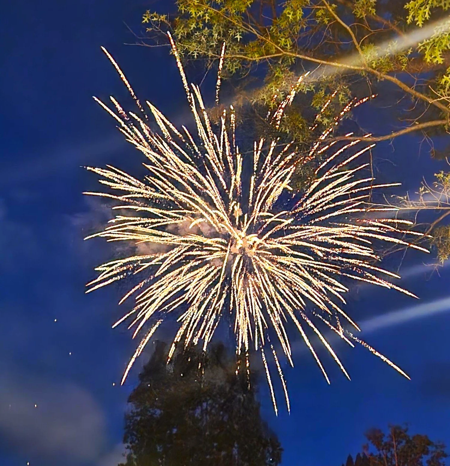 Fireworks 3.jpg