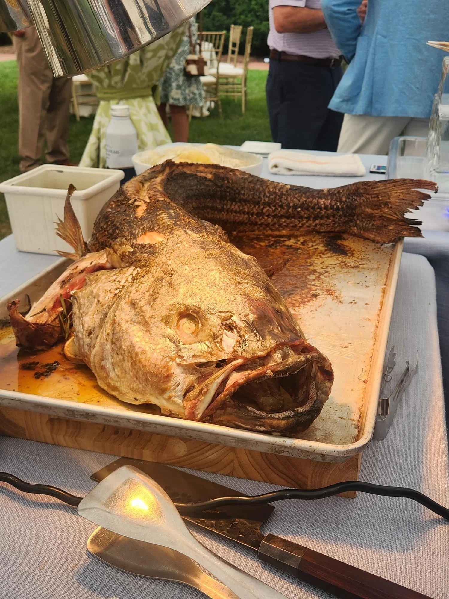 Fish.jpg