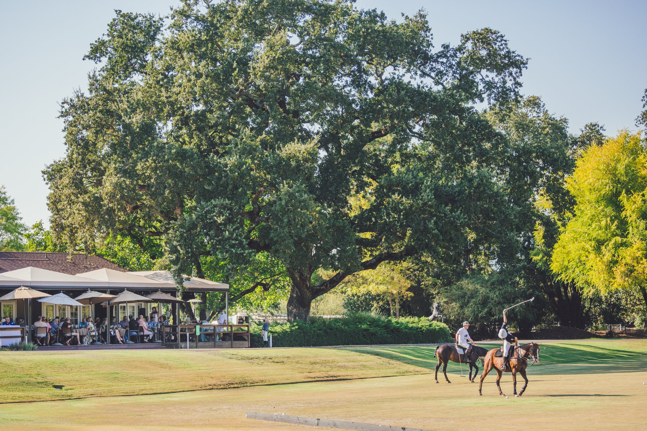 Polo Exhibition