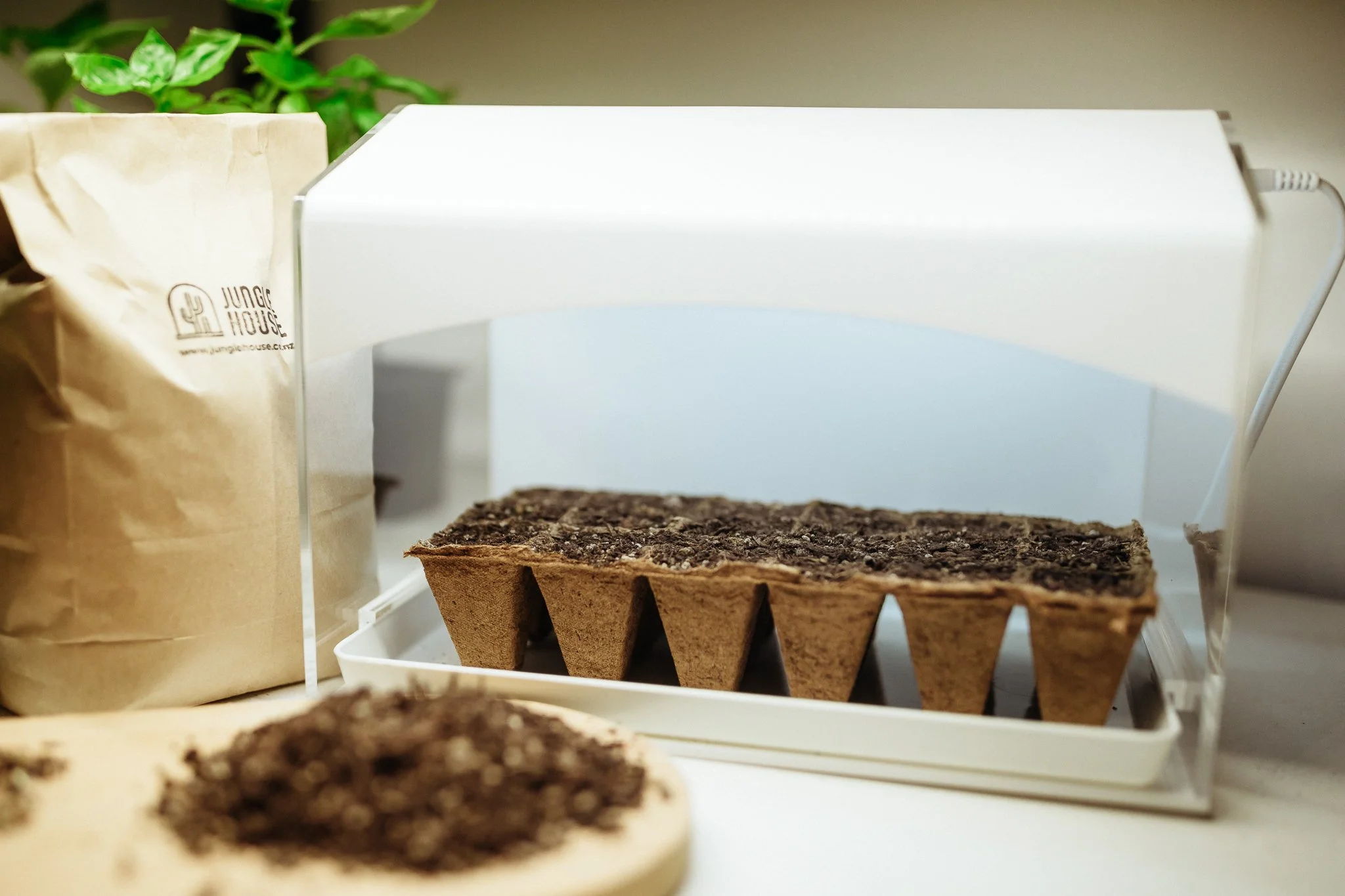 Indoor Mini Greenhouse NZ — JUNGLE HOUSE
