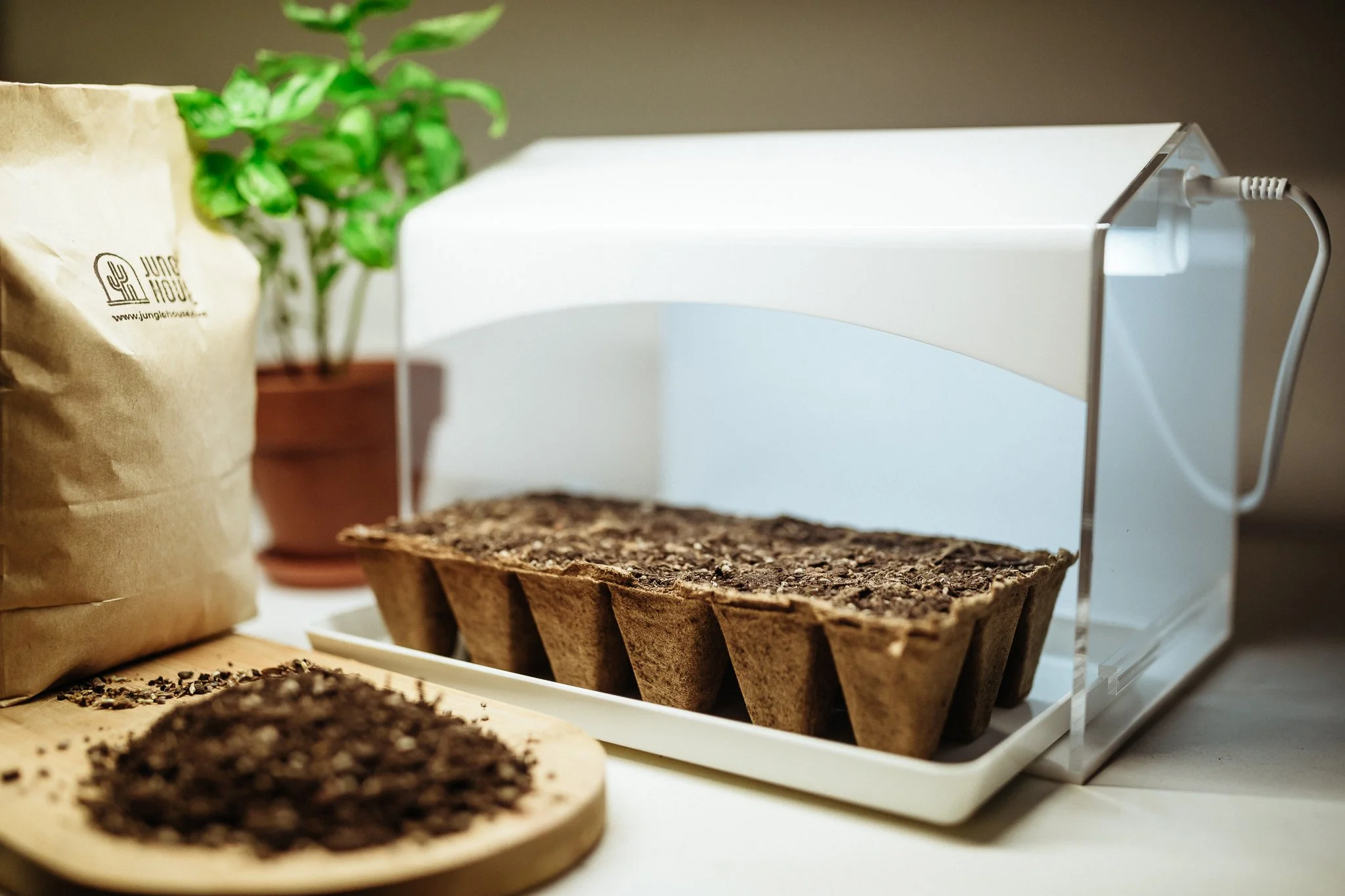 Indoor Mini Greenhouse NZ — JUNGLE HOUSE