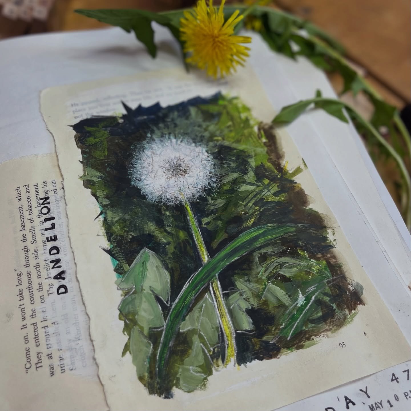 Dandelions. Just a nuisance mucking up your lawn? I say no, they are not just a weed! They are edible, medicinal, and their cheery yellow blooms turn into those irresistible spheres of wispy seeds. Remember blowing all those seeds off the stem as a k