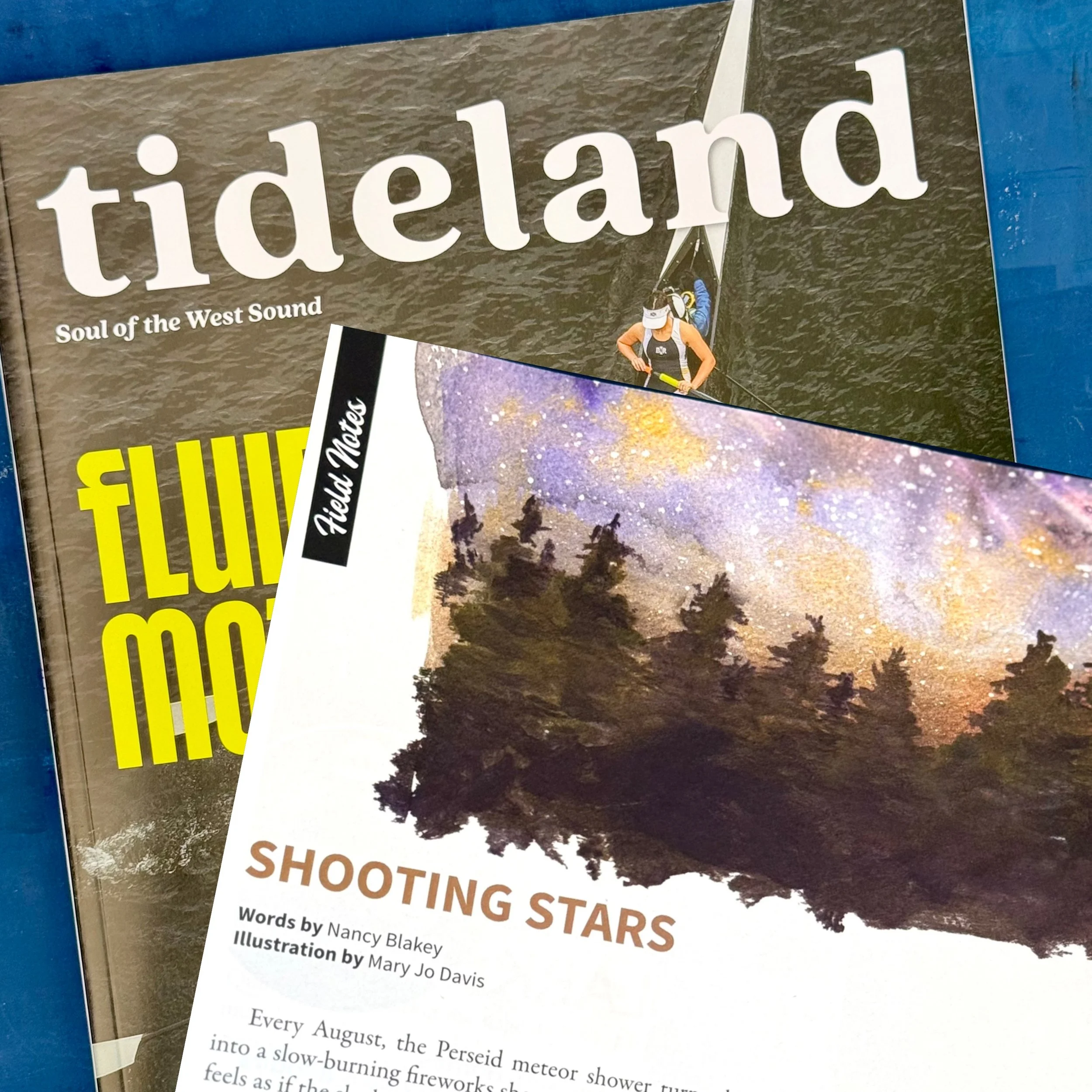 The latest issue of @tidelandmag is out! I had so much fun experimenting with different watercolor paints to create an imagined night sky for the Field Notes article. I especially love gold mica paint for the stars! Scroll through to see the differen