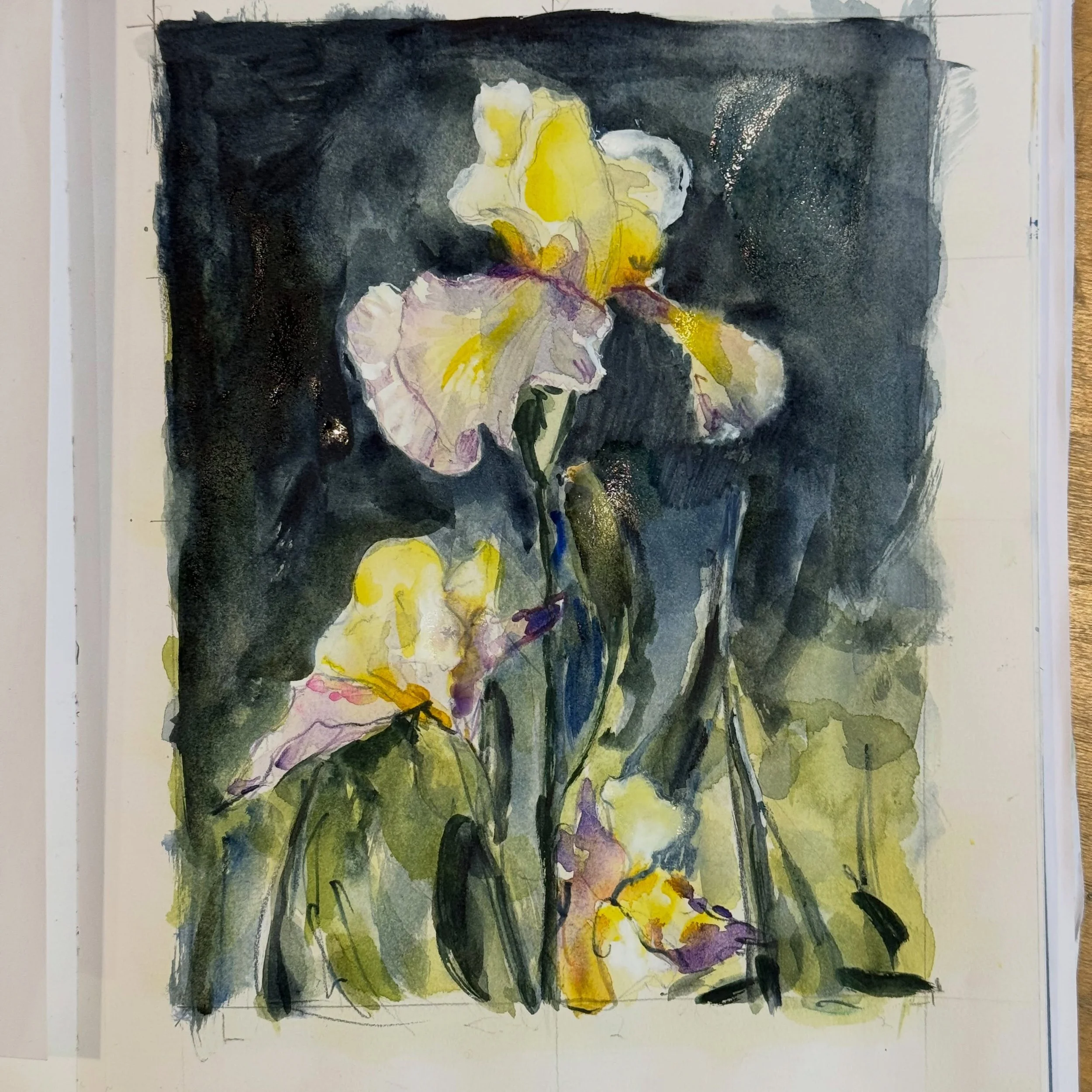 Another lovely reference from @christinehantzo 

#watercolor #showyoursketchbook #iris #christinehantzo_paintingflowers #artchallenge2026