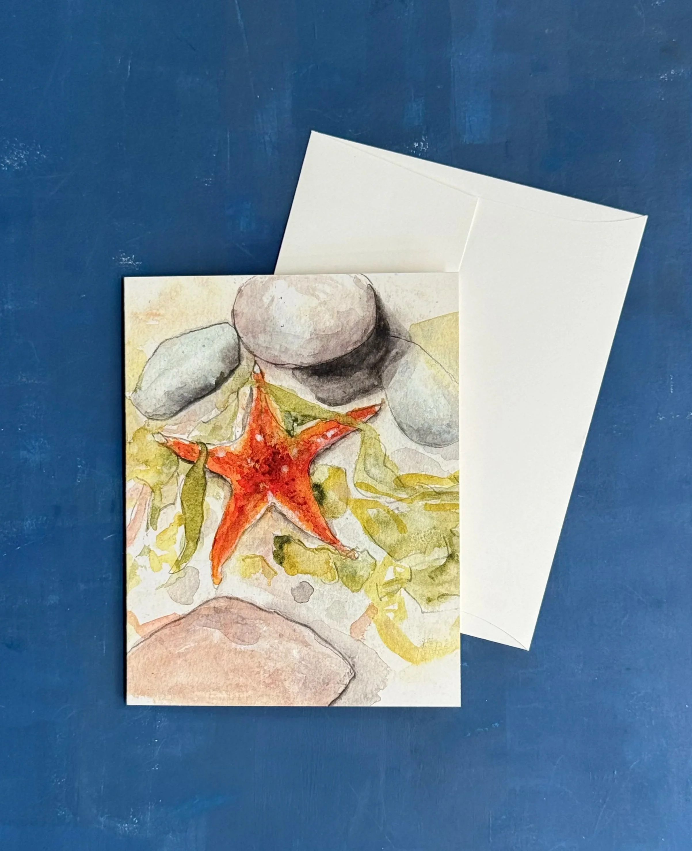 maryjodavistarfishnotecardfront.jpg