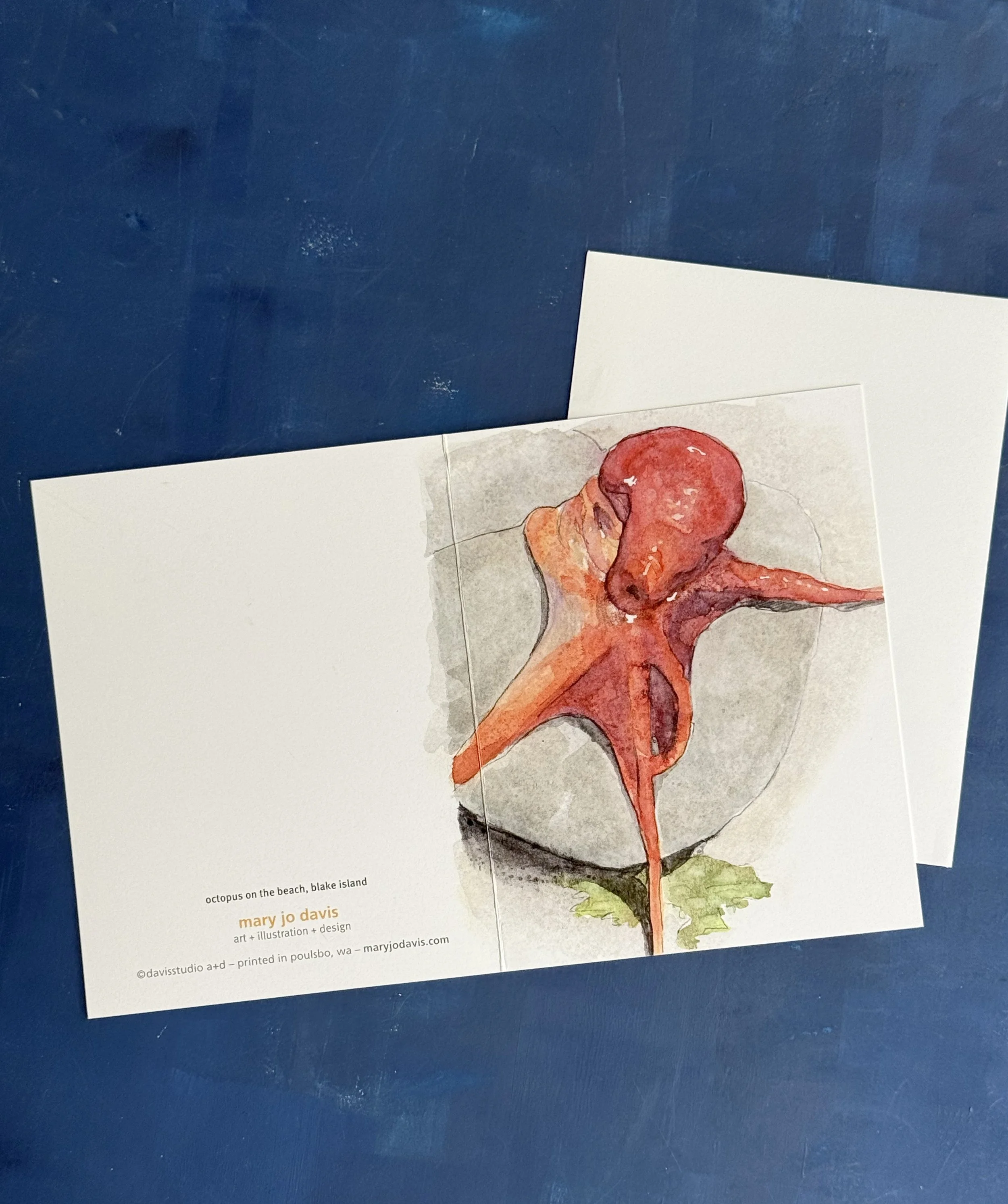 octopus_frontandback.jpg