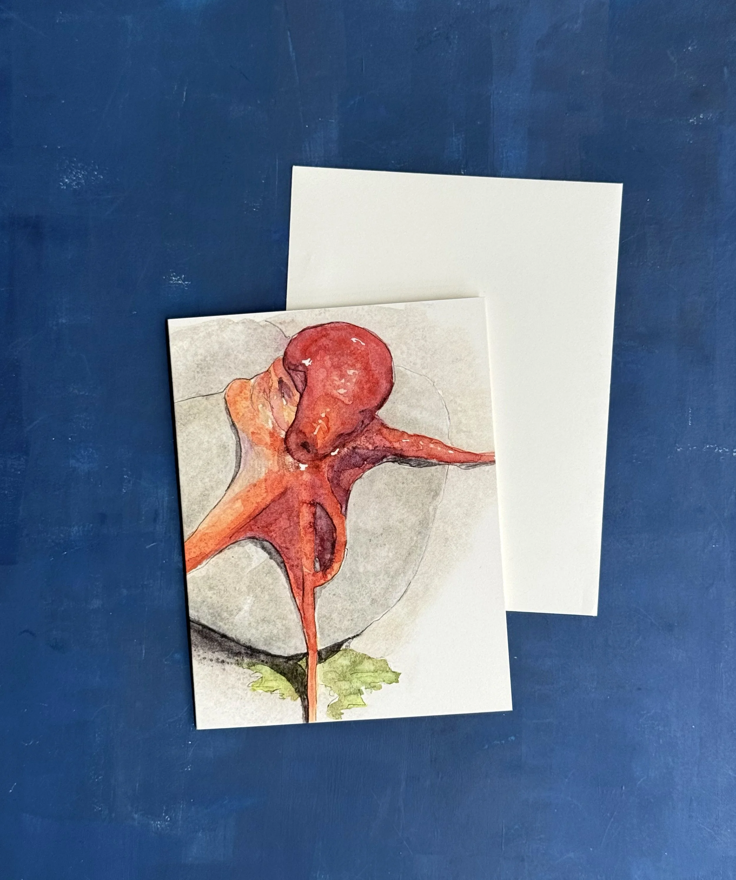 octopus_front.jpg
