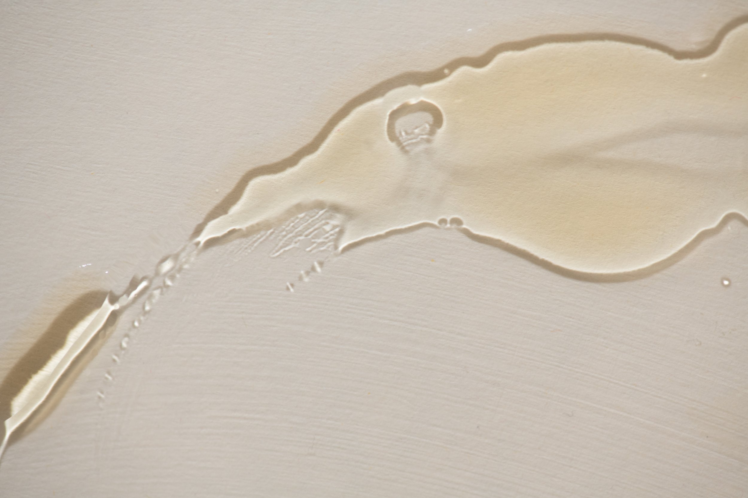 XODerm-096.jpg