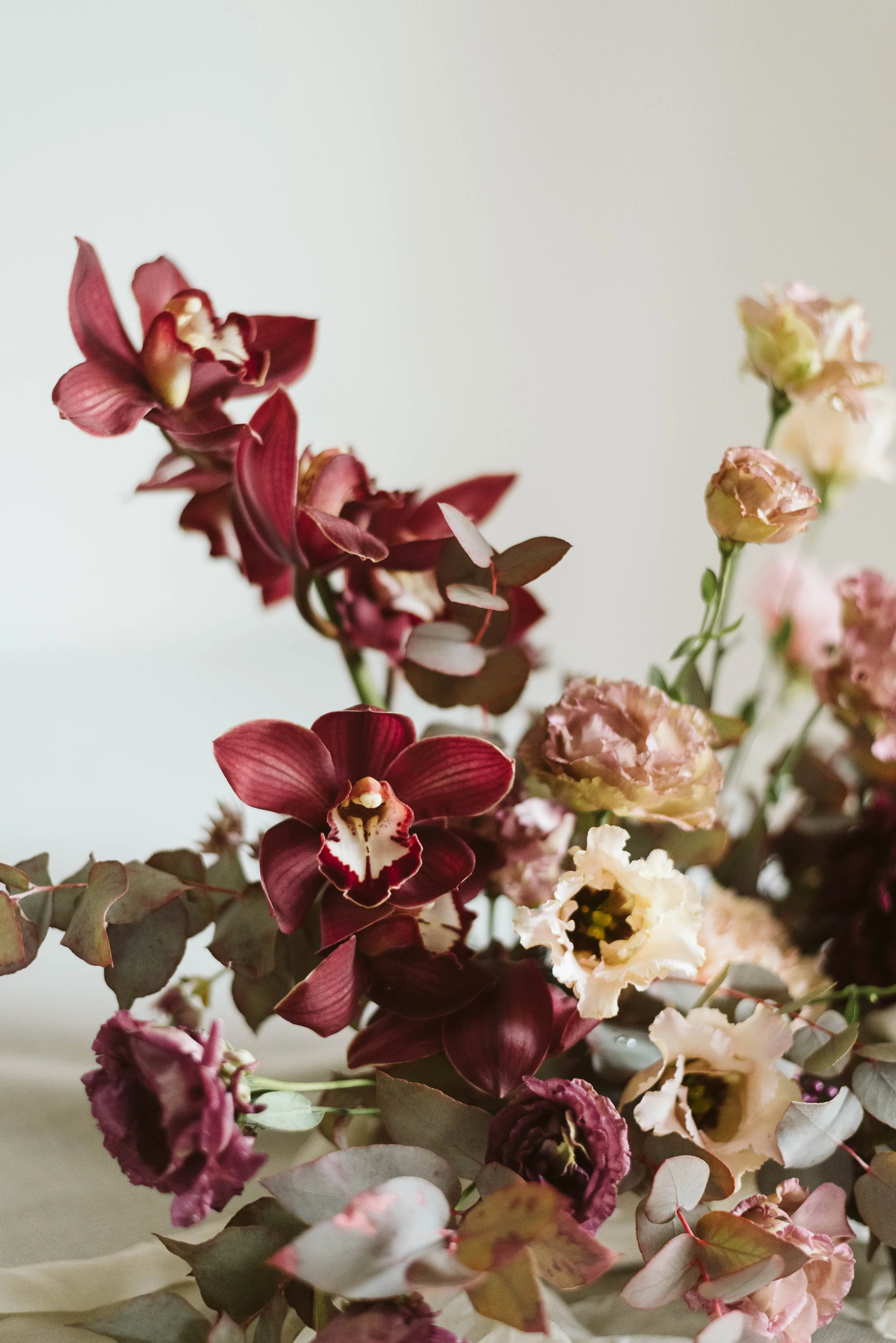 Copy of alyssajoyphoto_0182.jpg