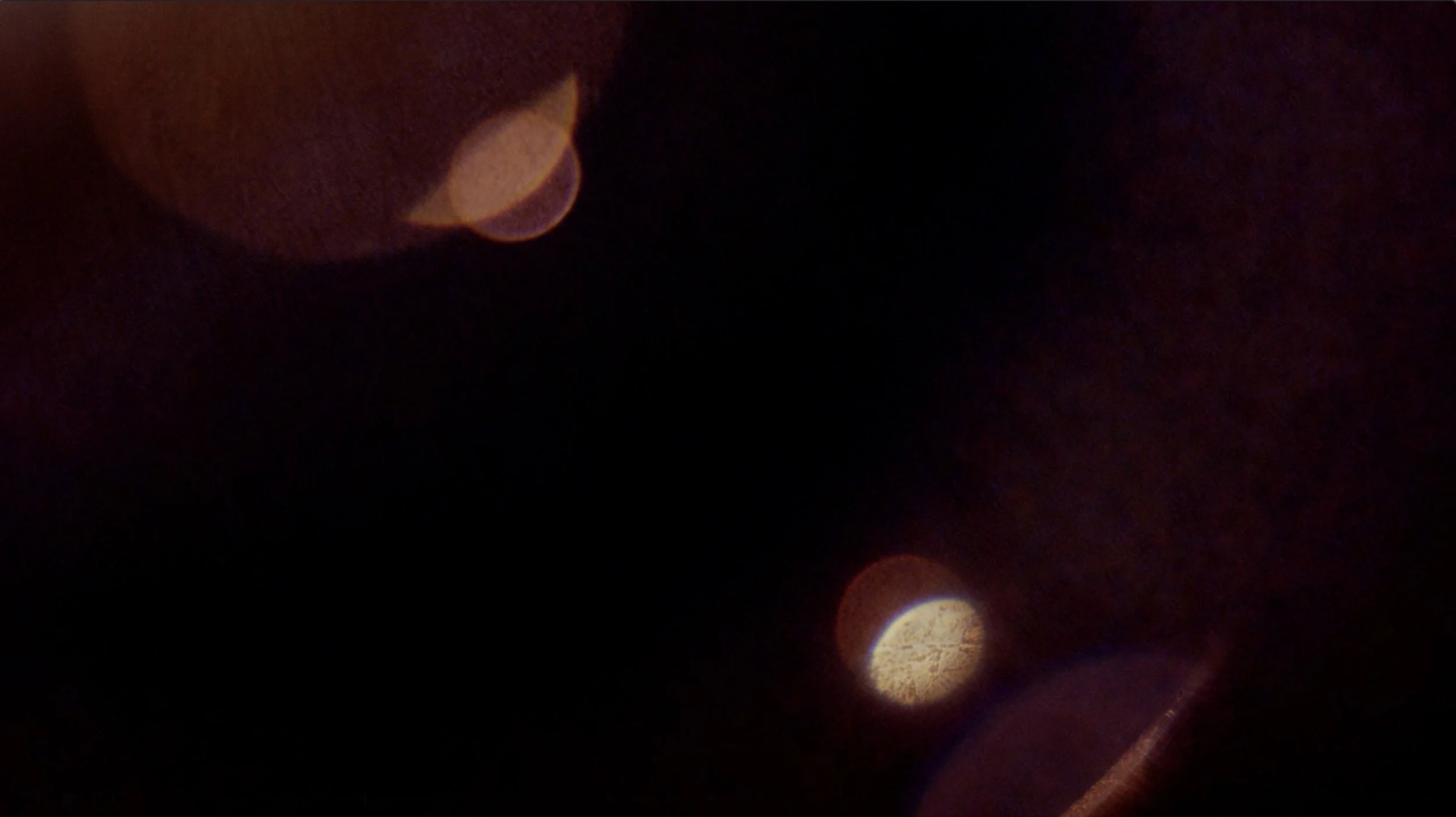 Screenshot 2025-03-01 at 10.10.52 AM.jpg